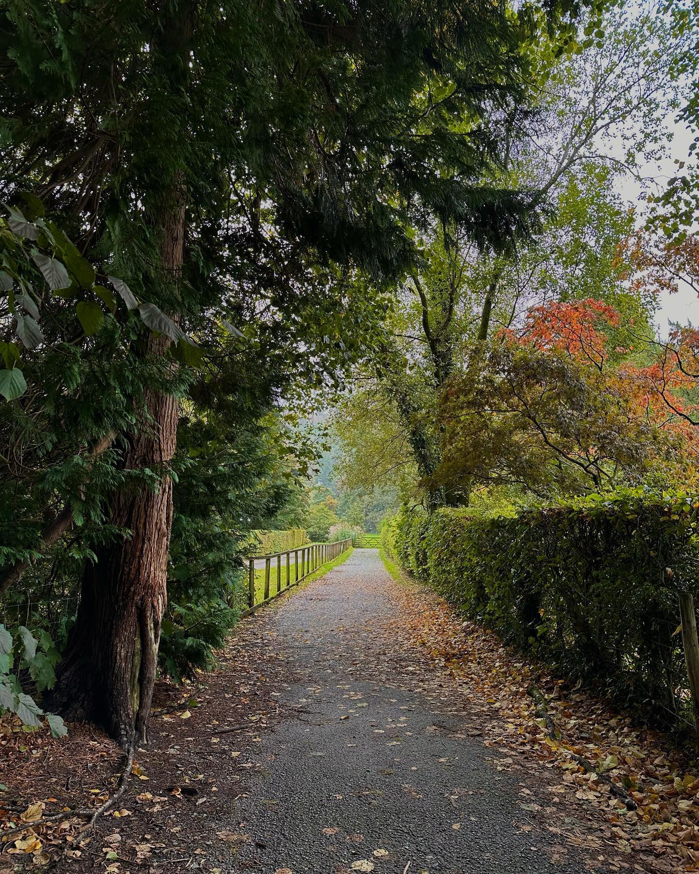 peaceful adventures on an October weekend in the Lake District