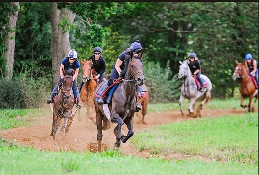 Thursday = SAND 🥰 Some lovely shots taken by @highfieldphotography_ thank you very much 🙏 #thomassymondsracing #teamsymonds #nationalhuntracing #thoroughbredsofinstagram #redmillshorsefeeds #gundoggin
