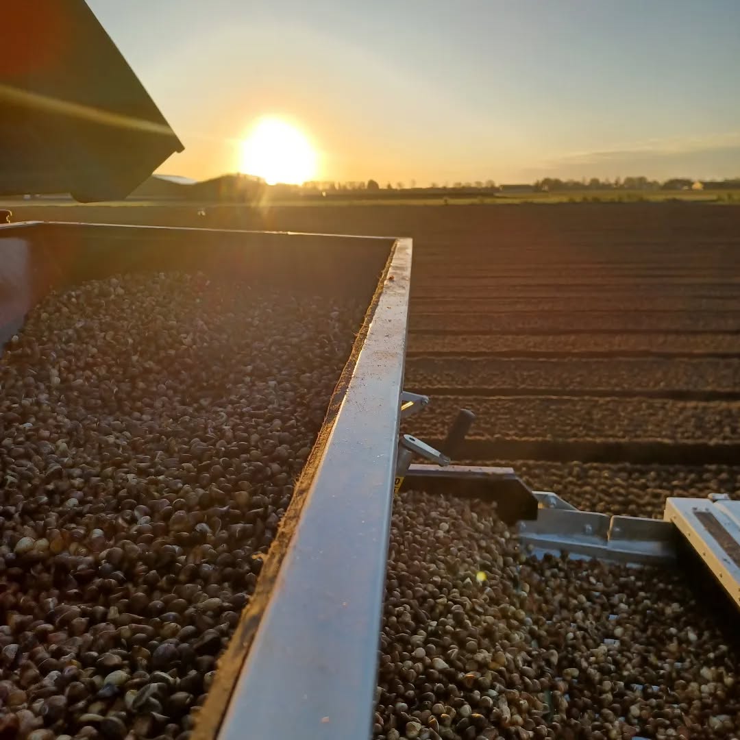 Wat een mooie start van de dag😎