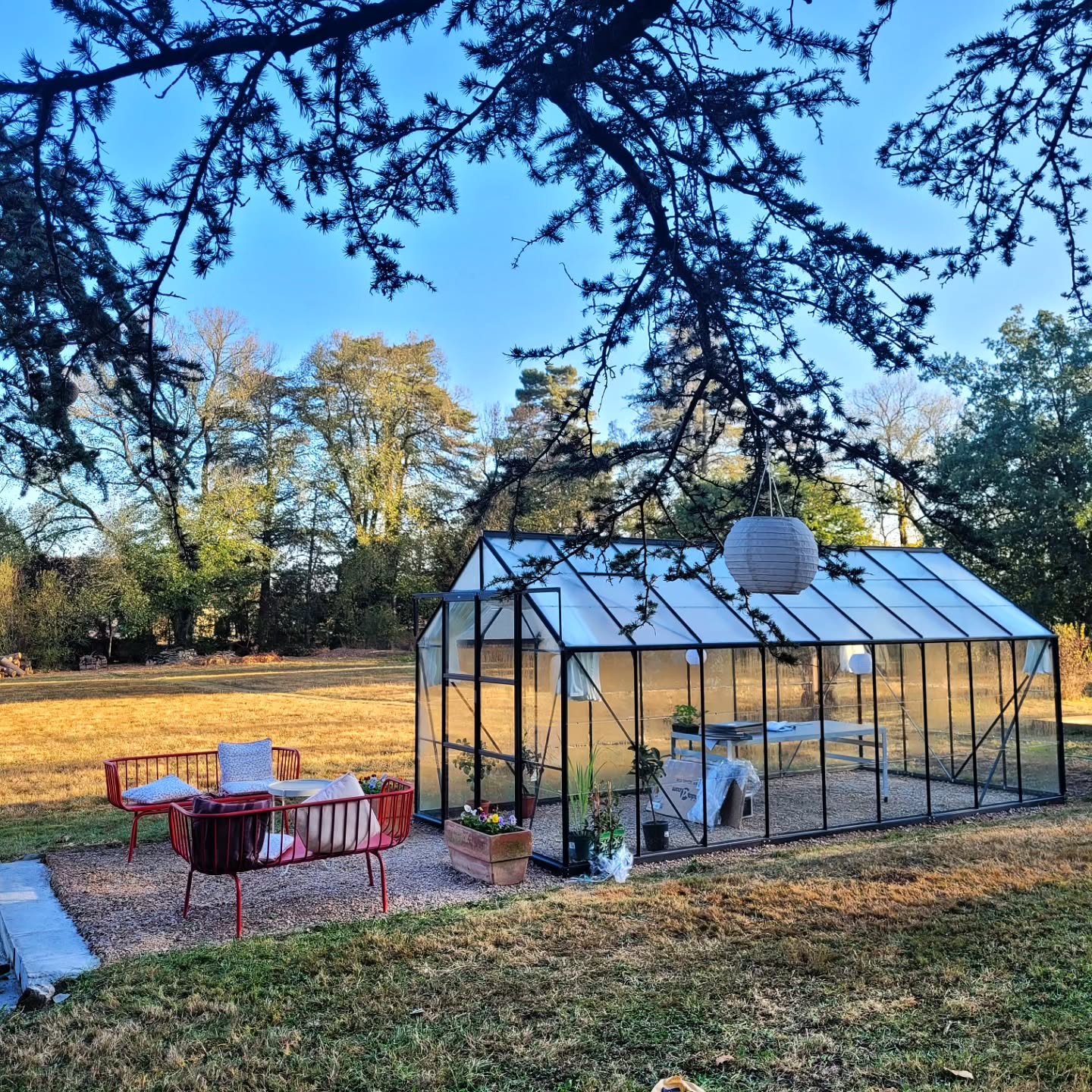 De kas staat! Met vereende denk- en spierkracht was de klus nog vlot geklaard. Dikke merci aan @ceestax voor zijn hulp en tomeloze energie. Nu is het wachten op de vroege lente zodat we tomaten, aardbeien en kruiden kunnen kweken in dit glazen tuin. Tot die tijd hebben de geraniums er het rijk om te overwinteren. 🍅🌱🍓
Voilà, la serre ! En unissant nos forces le travail a été accompli assez rapidement. Un grand merci à @ceestax pour son aide et son énergie sans limite. Maintenant il faut attendre le début du printemps pour pouvoir cultiver des tomates, des fraises et des fines herbes dans ce jardin de verre. En attendant, les géraniums ont la possibilité d’hiverner. 🍅🌱🍓
#serre #tuinkas #chambredhotesdecharme
#gardening #ohlechateau #tarntourisme #france @serreslams #jardiner #extérieur #tabledhotes #kweken #potager