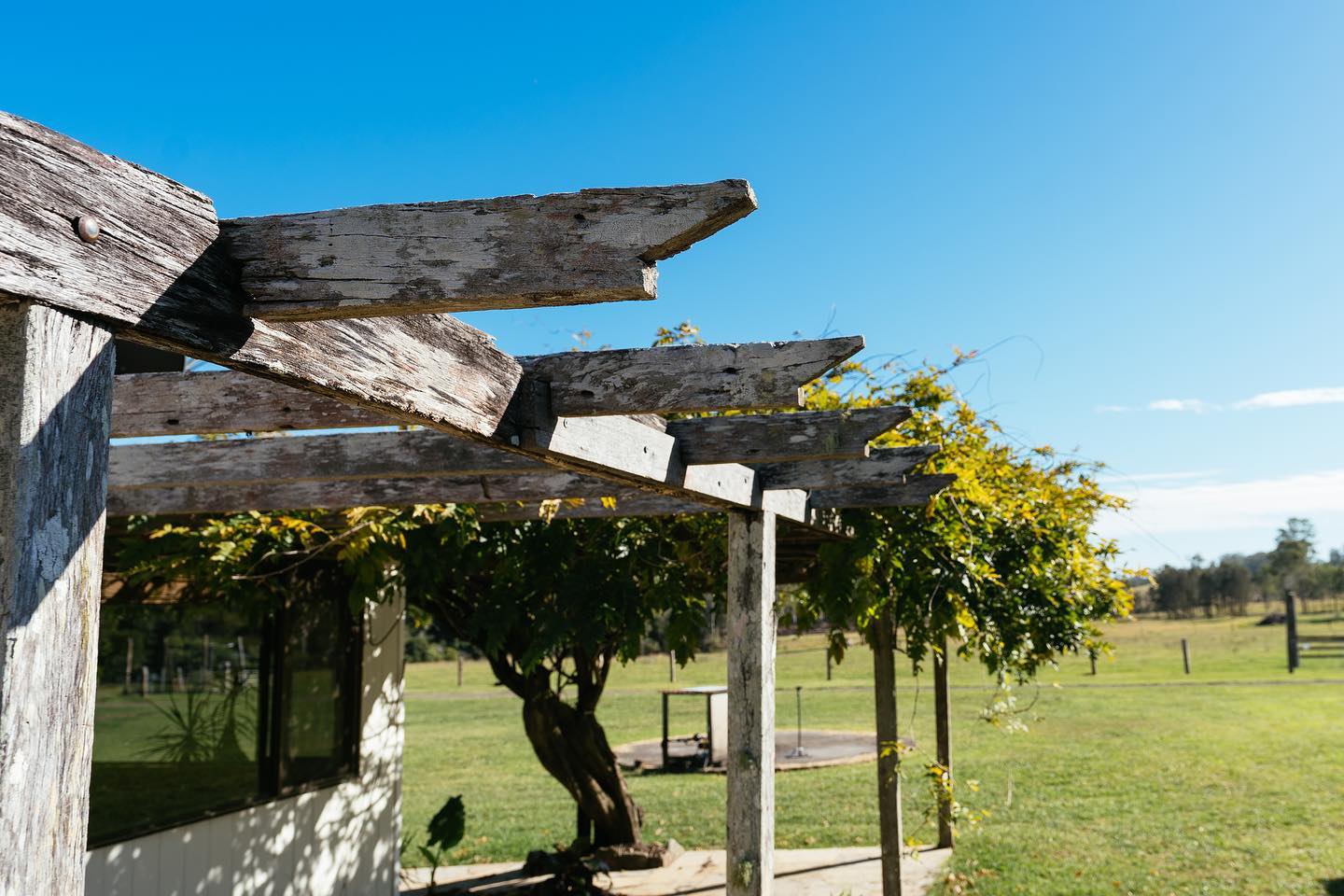 Sunshine and shade โ๏ธ ๐ณ