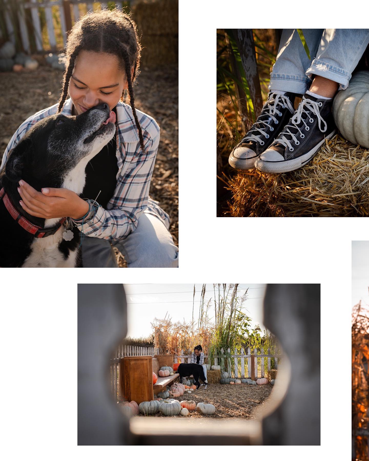 Is it just me or am I much better photographer when animals are involved?!
.
.
.
.
.
.
.
.
#boulderphotographer #longmont #windsorcolorado #longmontphotographer #petlovers #petphotography #fallminis