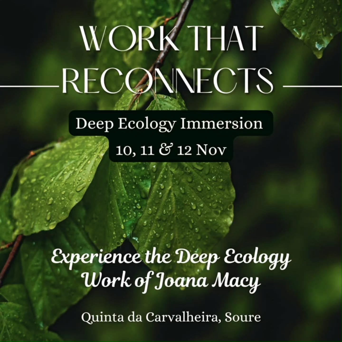 As inscrições para a 5a edição do "Work That Reconnects - Immersive Weekend " estão oficialmente abertas!
Ansiosas por vos receber com carinho e muita comida deliciosa!
Inscrições no link da bio 🌱
.
Registrations for the 5th edition of "The Work That Reconnects - Immersive Weekend" are officially open!
We are excited to welcoming you with care and lots of delicious food!
Registrations: link in bio 🌱