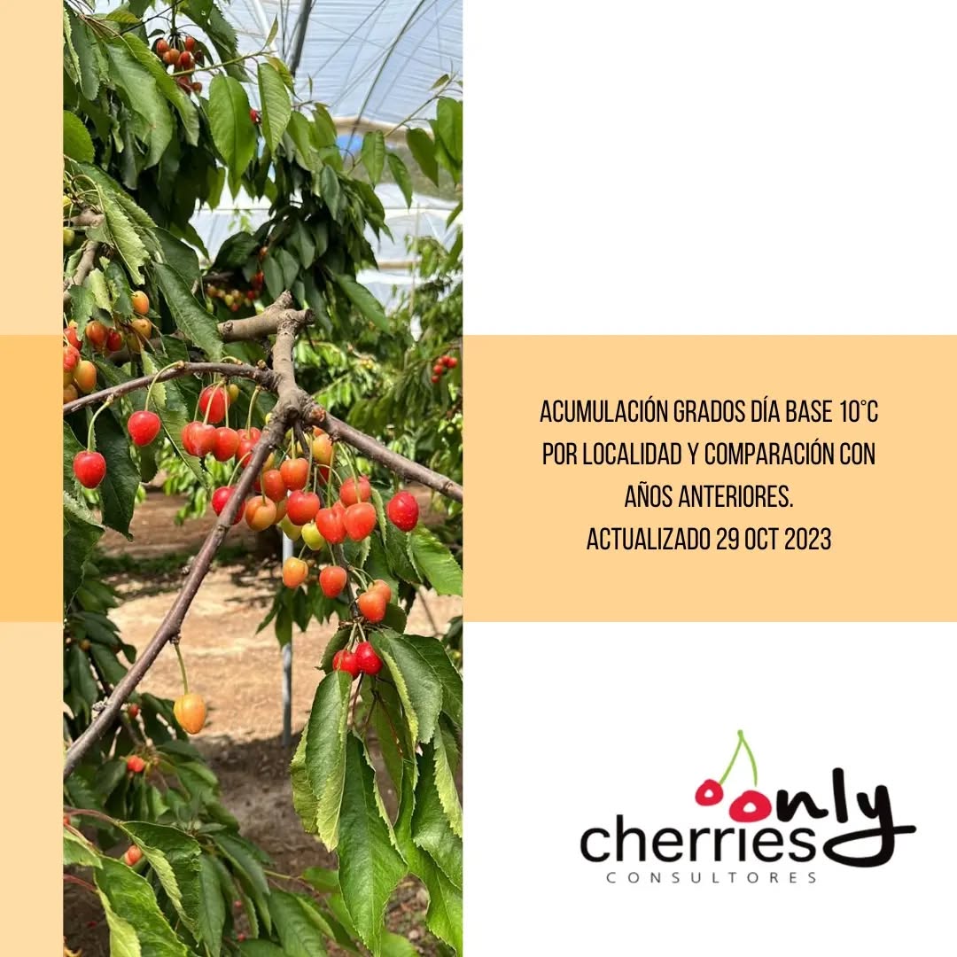 Ya puedes descargar el boletín actualizado con la acumulación de grados día para distintas localidades y su comparación con años anteriores. Encuéntralo en
www.onlycherries.cl
Está información la elaboramos en base a datos obtenidos en www.agrometereología.cl y es de gran utilidad para el análisis de la temporada y sus resultados.
#cherry #cherries #chileagricola #agrochile #agronegocio #cerezas #cerezo #cherryblossom #smartcherry #redagricola #campochileno #agricultura #revistadelcampo #mundoagro #agronomia #agro #agroquimicos