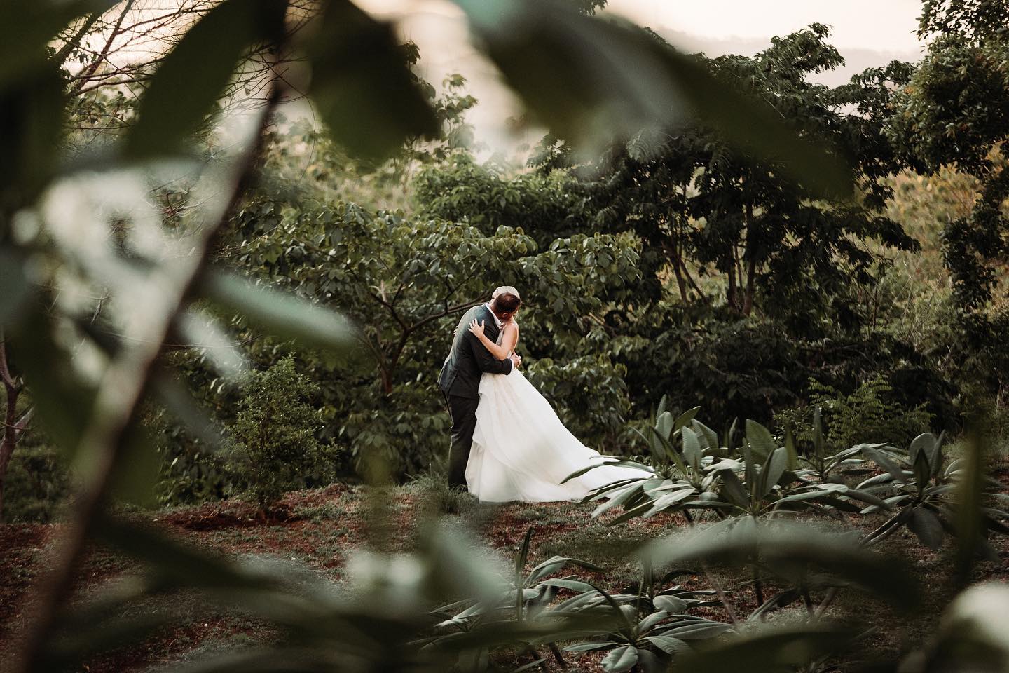 Surrounded by the magic of the jungle ✨🌿