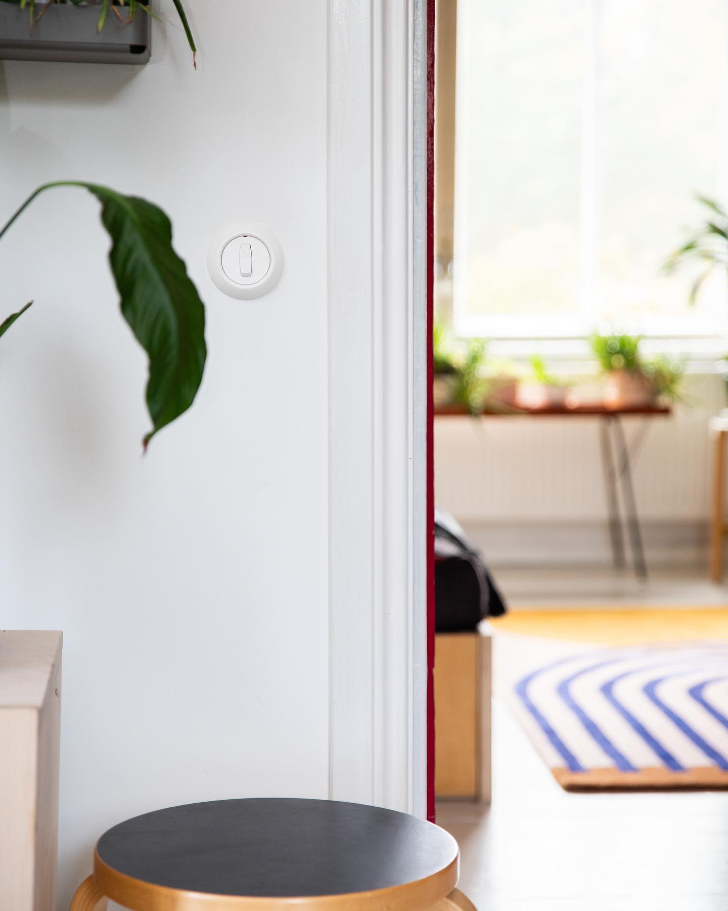 Schneider Renovat 1930-luvun omakotitaloon Helsingin Toukolassa ⚪️🤍
@schneiderelectric @schneiderelectric_fi @paasiahotommi: 📷