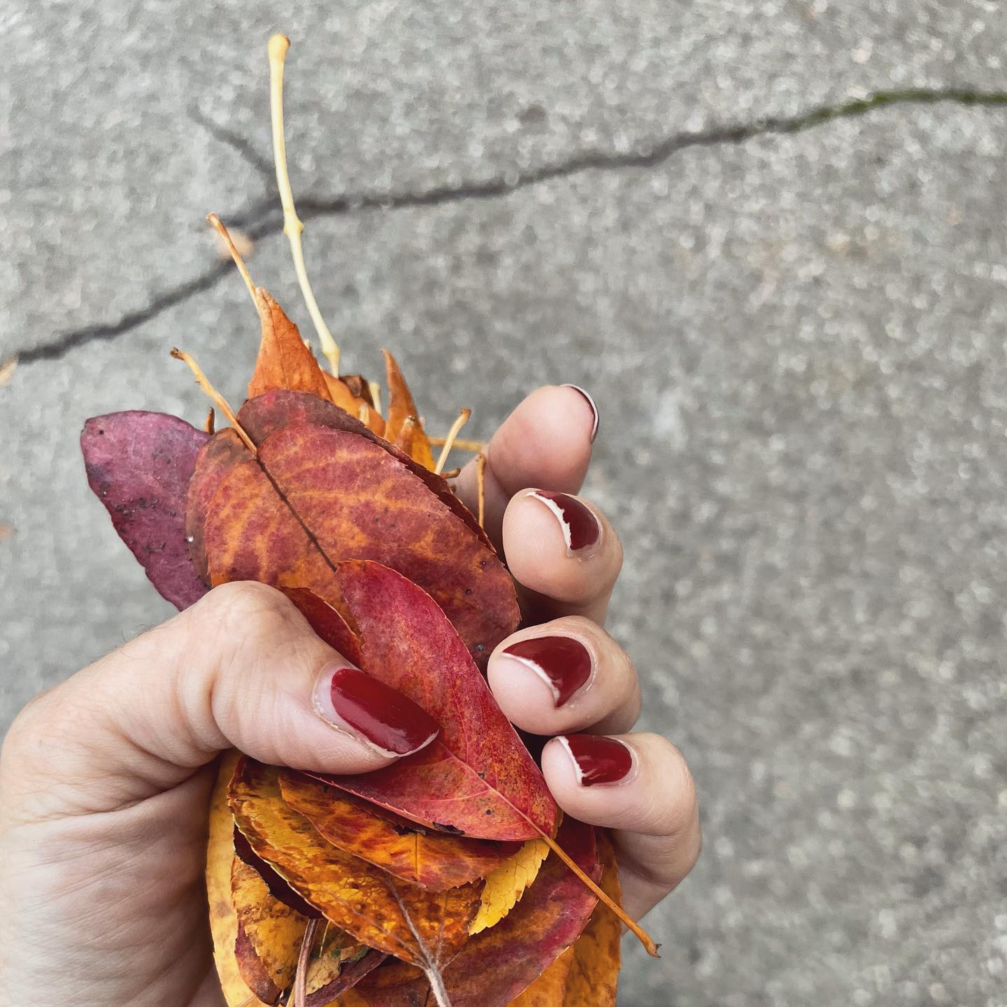 | Herbstschätze sammeln
Kinder leben im Hier und Jetzt. Nicht im Gestern und nicht im Morgen.
Sie meinen es nicht böse, wenn sie gefühlt Stunden brauchen, um die Schuhe anzuziehen.
Sie beobachten den Käfer nicht extra eine halbe Ewigkeit, statt sich auf den Kindergartenweg zu machen.
Sie denken nicht daran, das man den Zug verpassen könnte, wenn man noch sieben Mal durch die Pfütze springt.
Sie wollen uns nicht ärgern. Sie leben so.
.
.
.
.
#alltagmitkindern #parenting #eltern #elternalltag #durchatmen #friedvolleelternschaft #friedvollemutterschaft #gewaltfreieerziehung #gewaltfreiekommunikation #mamaleben #elterntipps #zeithaben #maman #mama #mom #lebenalsfamilie #lebenalsmama