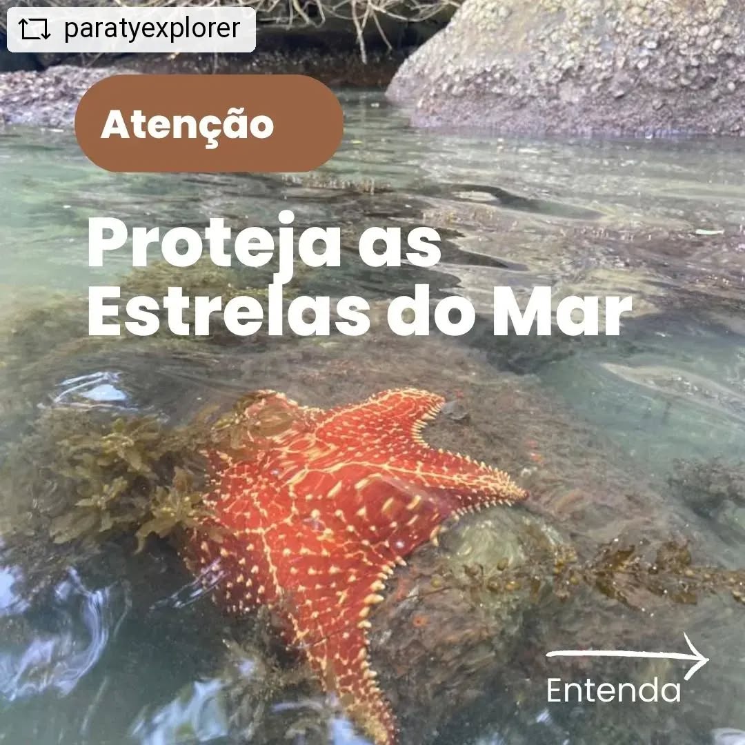 Dia de #tbt Hoje queremos falar sobre um assunto muito importante que pode ajudar a preservar a vida marinha:
Não tocar ou retirar estrelas do mar das águas.
As estrelas do mar são criaturas marinhas fascinantes , desempenham um papel importante nos ecossistemas costeiros.
Se alimentam de moluscos, caranguejos e outros animais que vivem nas rochas e recifes, ajudando a manter o equilíbrio ecológico.
Infelizmente, muitas pessoas acreditam que é seguro tocar ou retirar estrelas do mar da água, "Tudo por um Like "
Quando são tocadas, essas criaturas podem sofrer danos físicos, contaminadas com protetor solar e óleos.
Se as estrelas do mar forem retiradas do ambiente aquático, elas podem morrer rapidamente devido à falta de água e nutrientes.
Portanto, quando estiver na praia ou em um ambiente costeiro, lembre-se:
Não tocar ou retirar estrelas do mar das águas.
Se você quiser admirá-las de perto, tente observá-las de uma distância segura, sem perturbá-las ou interferir em seu habitat natural.
Vamos todos fazer a nossa parte para proteger a vida marinha e garantir que as futuras gerações também possam apreciar a beleza e a diversidade do mundo natural.
#proteçãodavida #estrelasdomar #vidaecológica #meioambiente #consciênciaambiental #Paraty
#aventura #natureza #passeiosemparaty #vidamarinha #repostandroid #repostw10