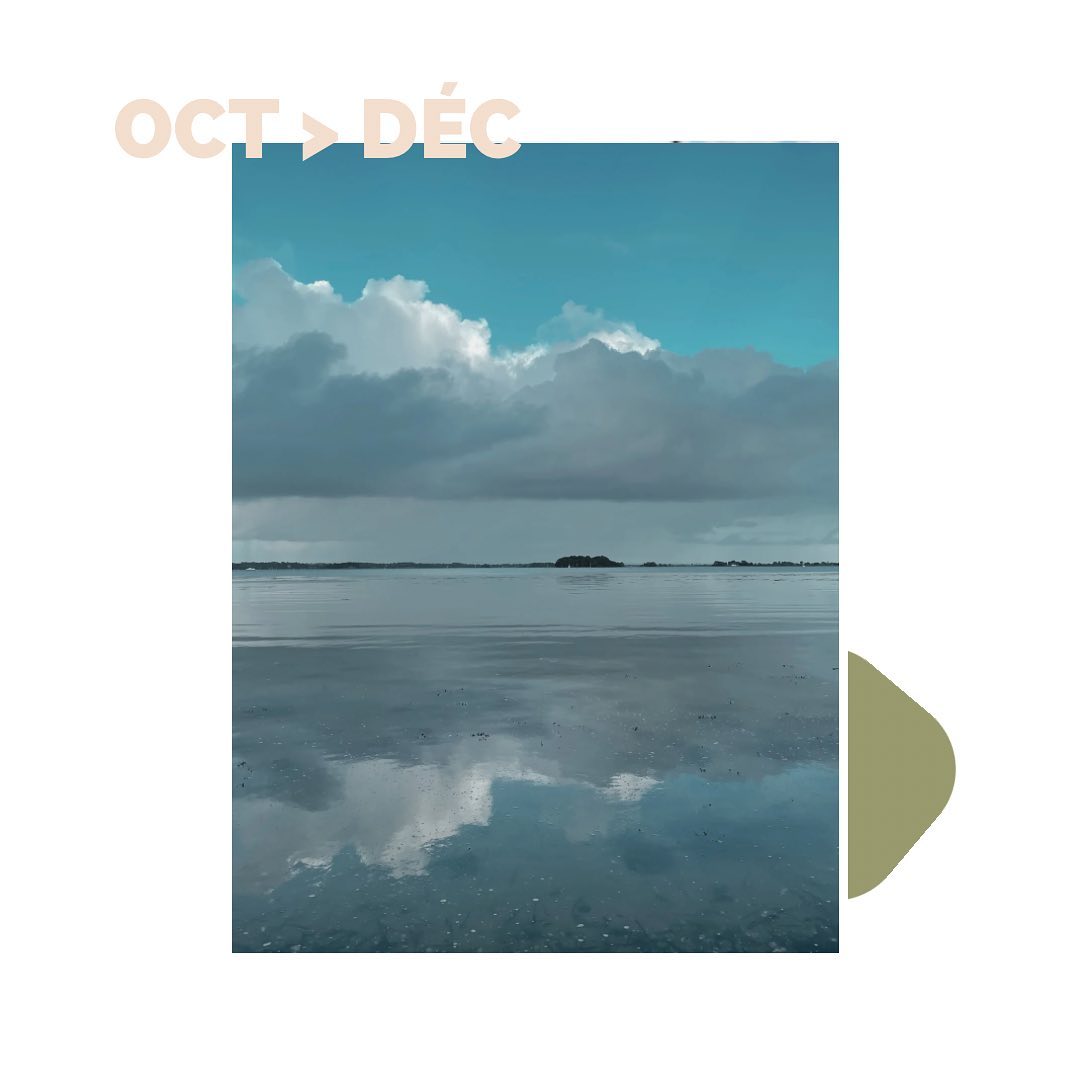 Cette fin d’année aussi mouvementée que riche m’éloigne d’ici. C’est simple, plus je passe du temps avec mes clients, moins j’en passe à partager ce que je fais avec eux. Pourtant pleins de choses se passent !
Tout ceci m’invite donc à réfléchir et me donne des idées pour la suite pour faire évoluer @sourcescommunication. Car au bout de 2 ans, on peut commencer à faire le bilan, plus ou moins calmement, sur sa communication mais aussi son propre positionnement, en mettant au cœur de tout les envies, pour envisager les années à venir !
Alors en attendant les nouveautés de 2024, me tarde de vous partager les résultats des travaux des derniers mois, quand je pourrai ;)
✌🏼
Ps : photo prise dans le Golfe du Morbihan, fin octobre.