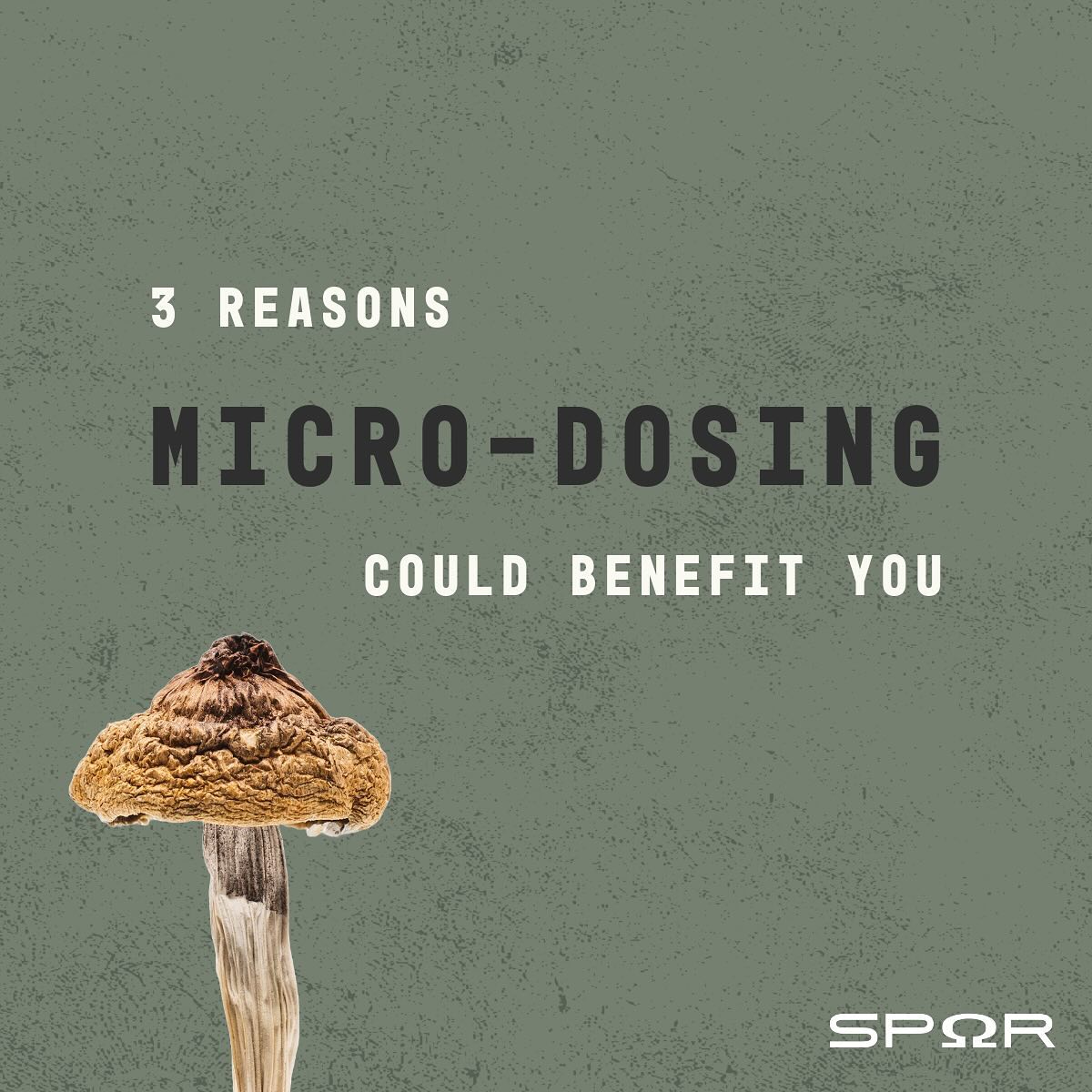 3 Reasons Microdosing Could Benefit You! 🍄
Let’s explore how the magic of mushrooms might just be the key to unlocking a calmer, more centered you. 🧘♂️🌿
#WellnessWarrior #MindfulLiving #MentalWellbeing
#MindBodyBalance #SelfCareJourney #spor