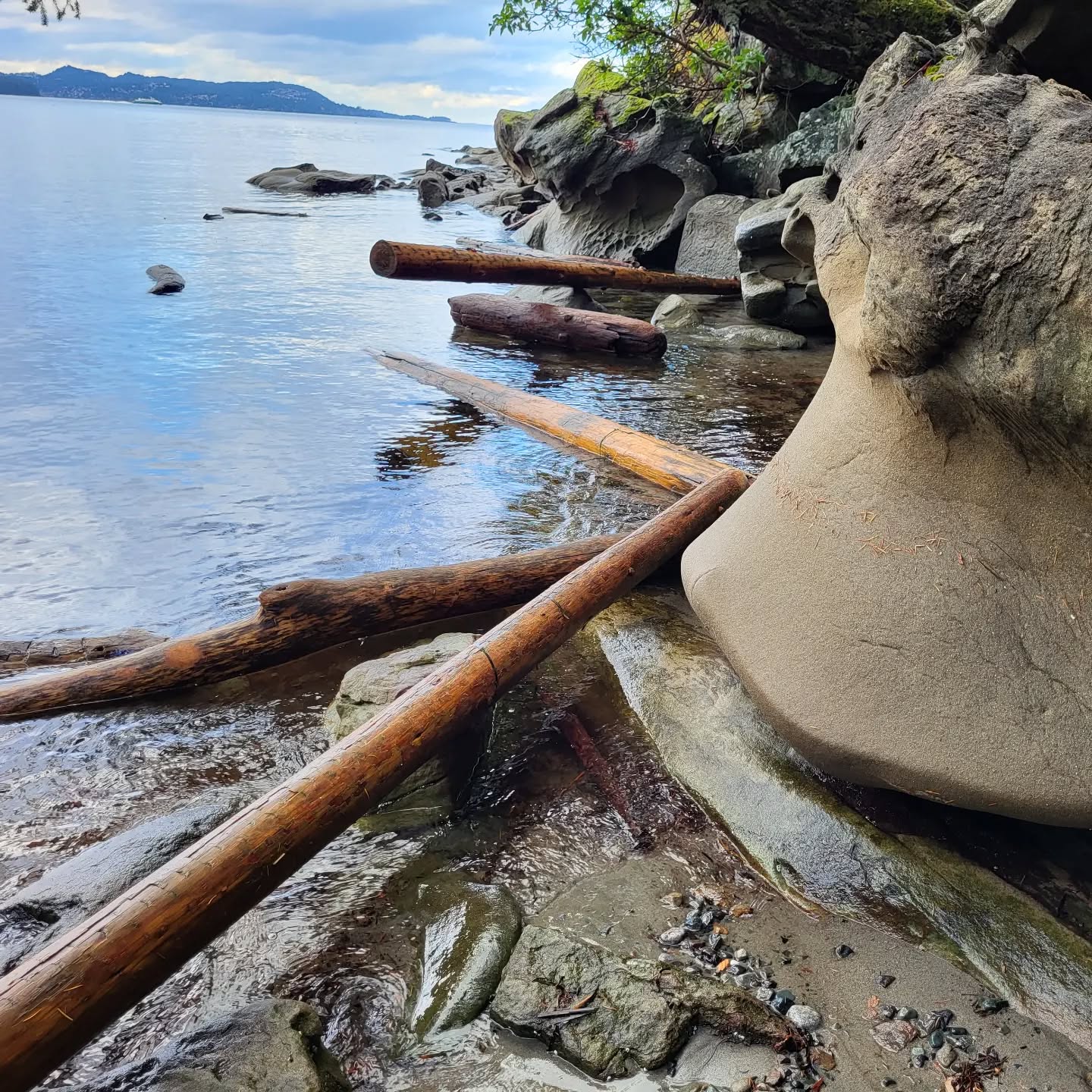 A few weeks ago I took an impromptu trip to Gabriola Island to check out their re-store, have lunch and explore the coast line.
This little island is a 25 minute ferry ride from Nanaimo and it never disappoints.
Feeling grateful to experience nature's gifts.
#photooftheday #phototag_it #photoblogger #photographers #photografyoftheday #photographie #beachpics #beachphotography