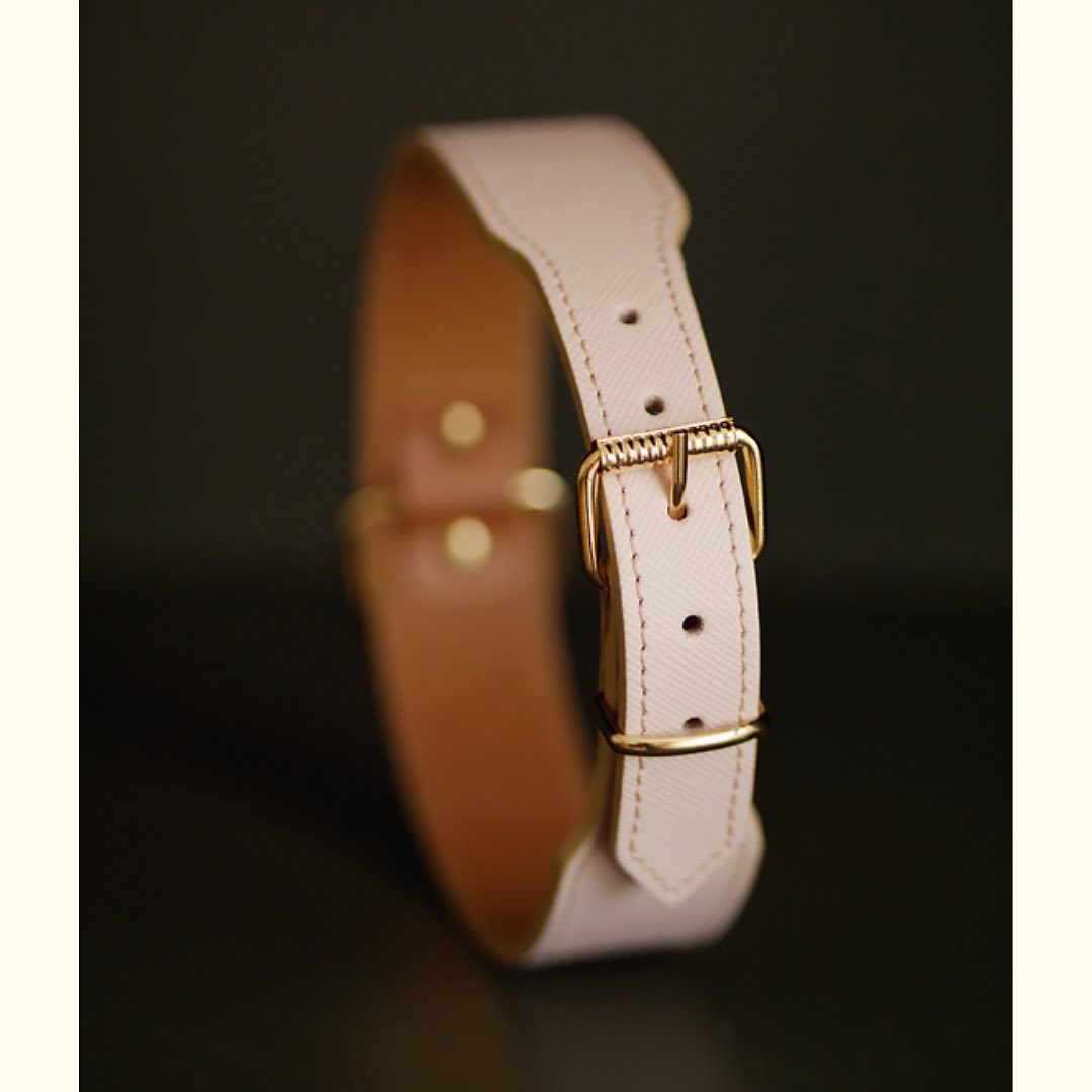 Souvenir d’un shooting avec Maison Siméo 🦴
.
Pour tous vos projets de création de contenus, n’hésitez pas à m’envoyer un MP 💌
.
#ponetteprod #agencecommunicationlyon #agencecommunicationtassin #tassilademilune #contenucreatif #agencedigitalelyon #photographie #photographiecommerciale