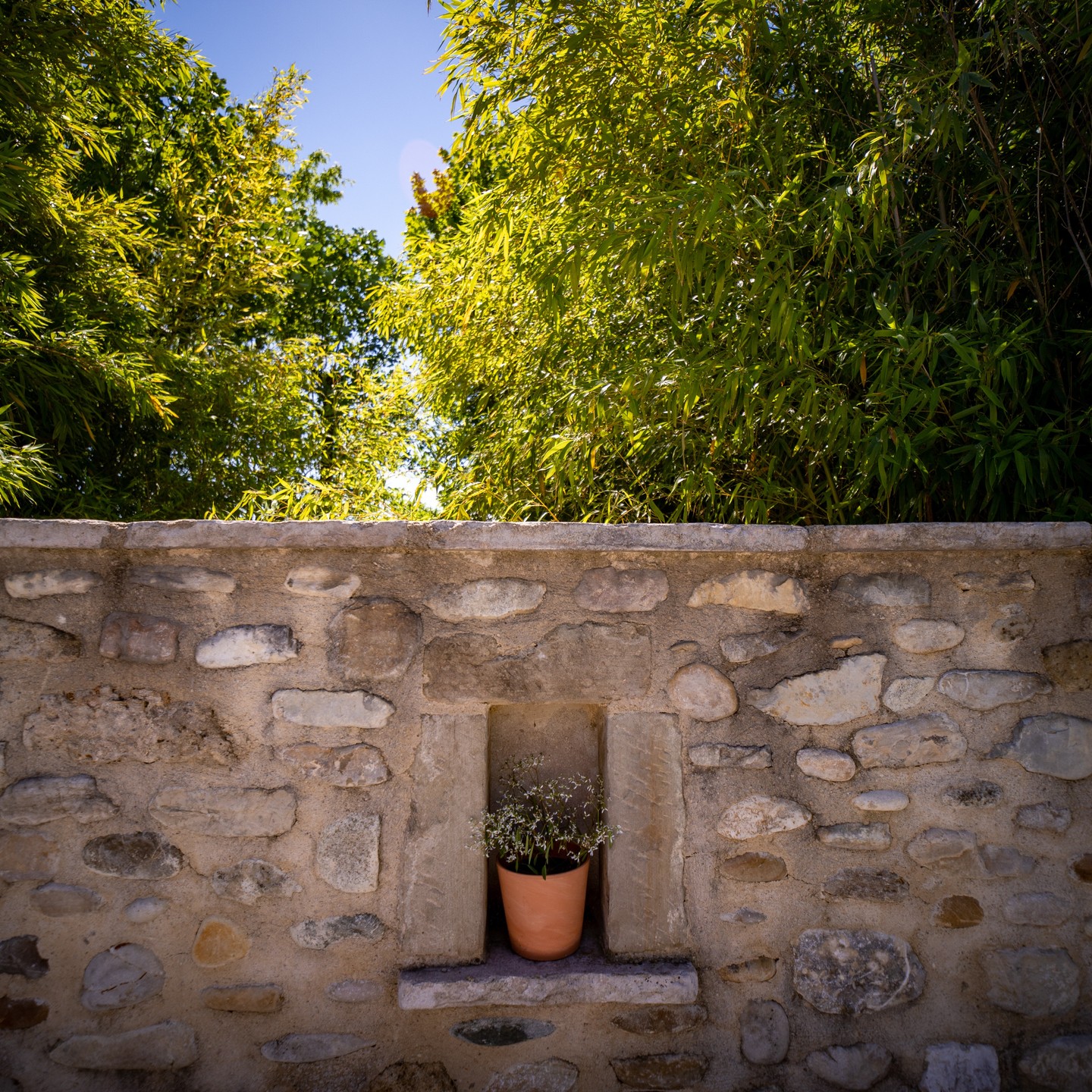 #paysagiste #paysagisme #concepteurpaysagiste #maisonetjardin #jardinmoderne #paysagemagnifique #naturelovers #naturephotography #jardin #exterieur #drôme #valléedeladrôme #aousteSurSye #crest #nature #creation #entretien