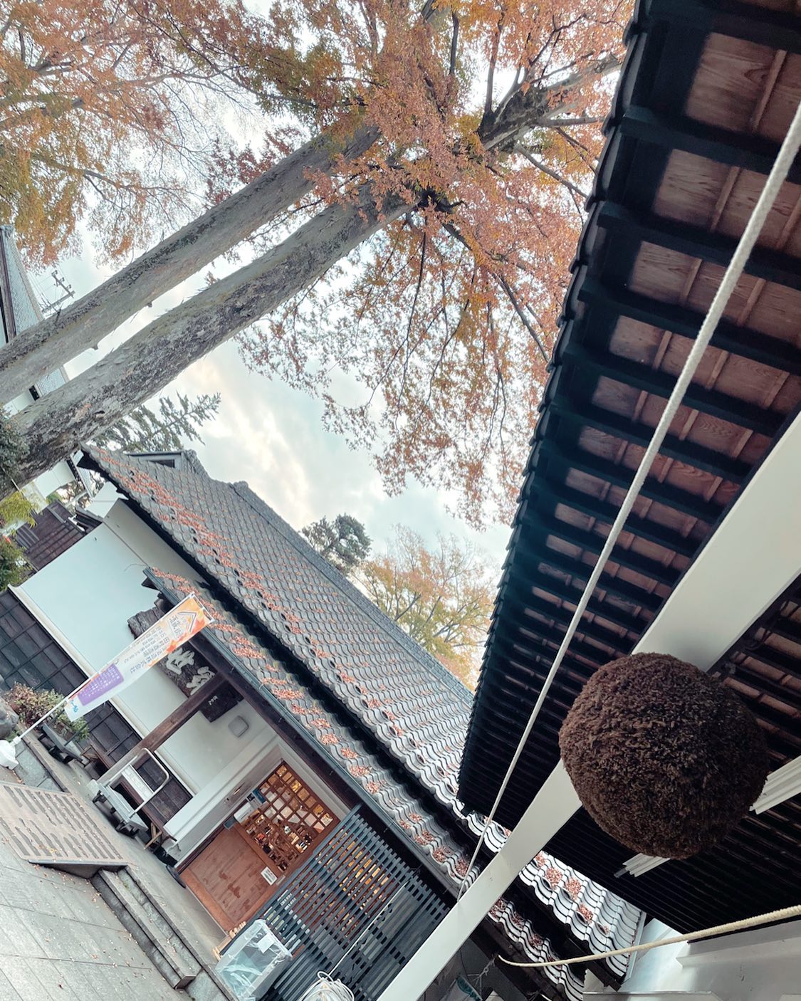 It’s fall season and the leaves on the trees are changing colors, creating unique autumn foliage - at #Ishikawasakebrewery, #Tokyo.
#Nishitama #Tokyo #satoyamatokyojourney #satoyama #countryside #tokyotrip #Japantravel #ig_tokyo #pics_jp #tokyocameraclub #bestjapanpics #travel #travelphotography #nature #naturephotography #naturelovers #landscape #cluture #westerntokyo #autumnfoliagetokyo