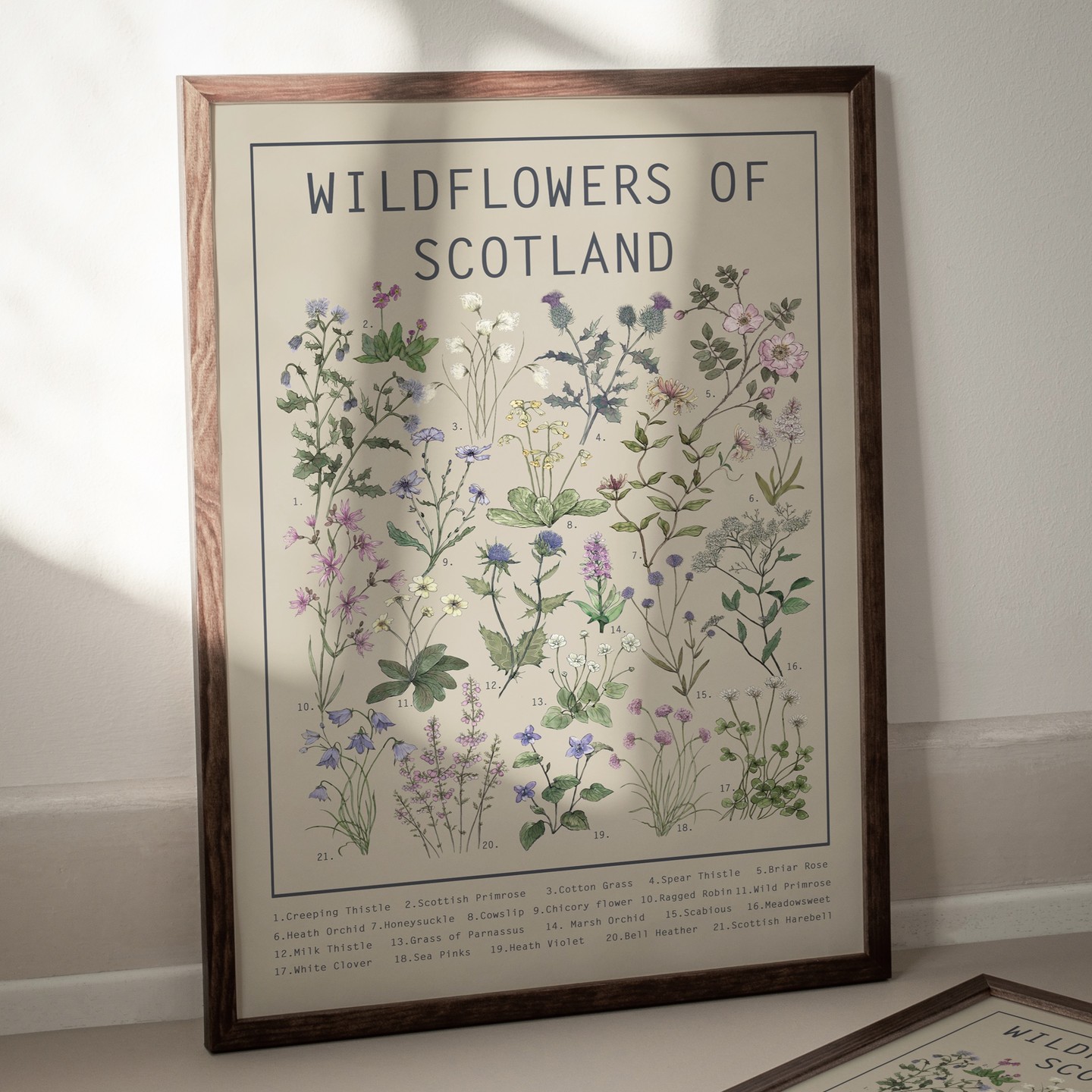 Wild Flowers of Scotland Herb Posters available in A4, A3,A2 Sizes are now available to purchase directly from my new website shop. You still have the option to purchase via Etsy but if you purchase from me directly prices are reduced and postage is free within the UK
#hackneyandcodesign#wildflowersof scotland#wildflowersposter#botanicalprintshop #scottishgift