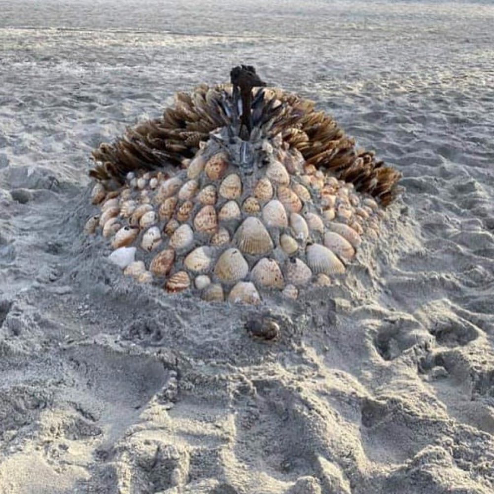 Hope everyone had a wonderful Thanksgiving 💗We all have so much to be thankful for. If you are having a hard time finding gratitude or joy right now, sit down and think about the basics. Are you safe? Do you have food to eat? Do you have a roof over your head? If so, you are blessed 💗 Finding gratitude doesn’t minimize pain or struggle, but it helps shift your focus and raise your vibration. Where your attention goes, your energy flows. Where do you want your energy to flow? With love 💗