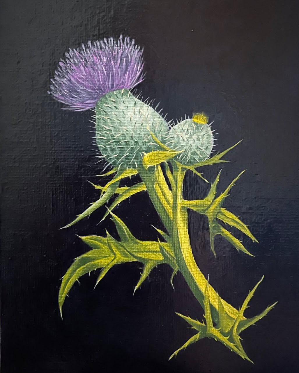 “Scottish Thistle”. Spikes and rich in colour, unmistakably embedded in the nature of our people #thistle #flower #garden #painting #scottish #edinburghartist