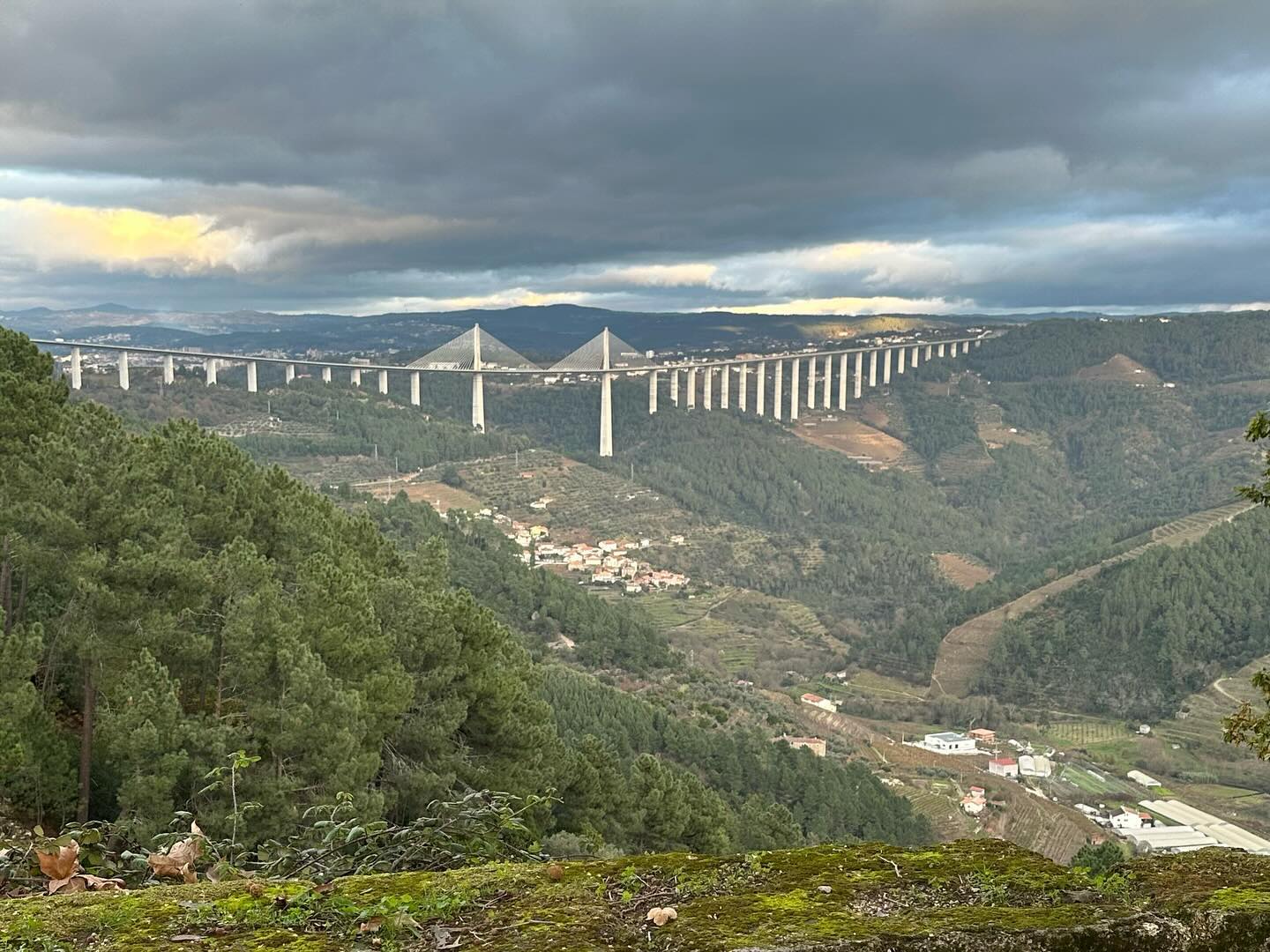 Stunning Douro Valley & Porto