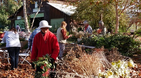 Beautiful moments from our CA native wreath making workshop with @cnpssd on Sunday! Part 1 โบ๏ธ๐๐โจ
๐ธ @silkensblum @christine_hoey ๐
#californianativeplants #growyourownwreath #holidayseason