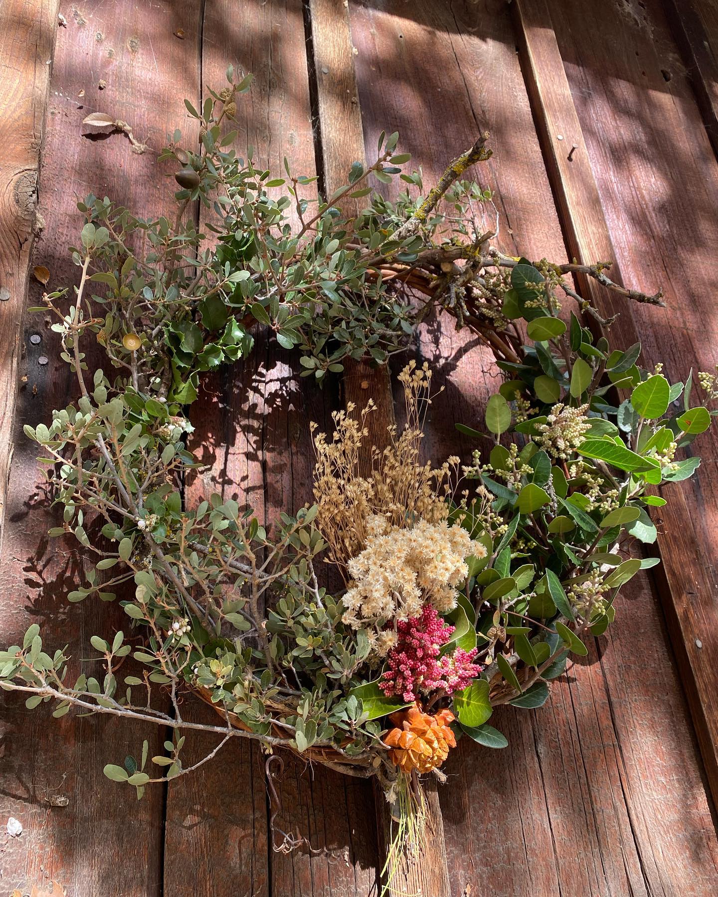 Just some of the stunning CA native wreaths our wonderful participants created at our CA native wreath making workshop with @cnpssd ๐๐โจ๐๐ฒ๐
#californianativeplants #growyourownwreath #holidayseason