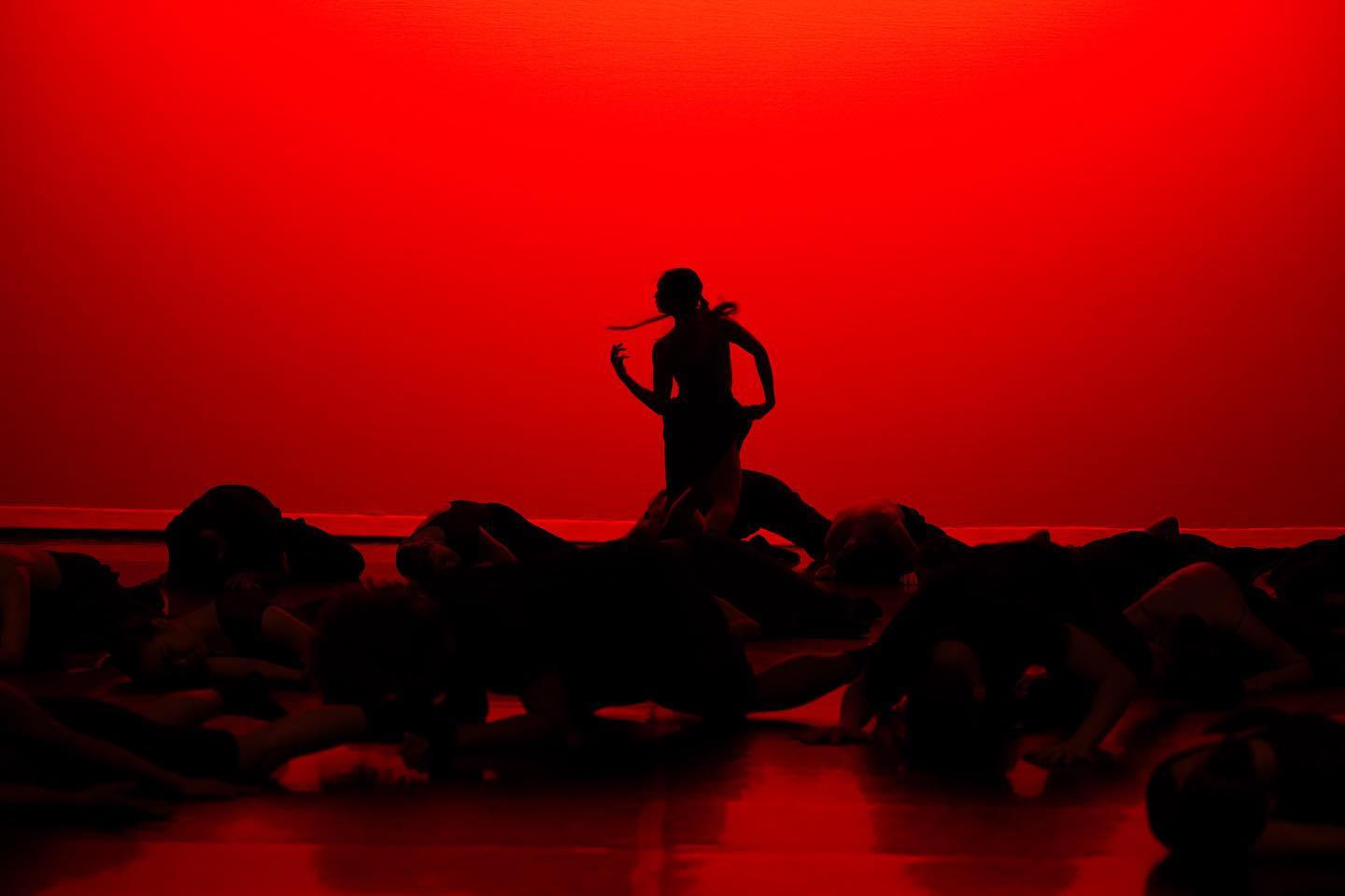 Honoured and grateful to have had the opportunity to create a new work on @coastalcityballet these past few months. Big gratitude to these dancers and everyone who made it to the premiere.
Thank you @coastalcityballet
@igorgomespablo @davidcooperphotography
Music by @stefannazarevich
Danced by @coastalcityballet
Photos by @davidcooperphotography