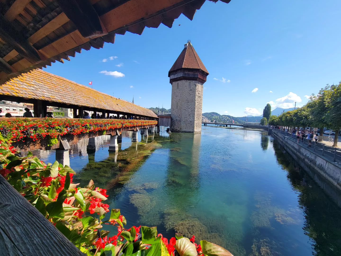 Beautiful hiking? ✅
Amazing food? ✅
Tons of history? ✅
Check out our latest itinerary for an epic 10 day adventure through Switzerland and Italy! From the beautiful Alps to the waters of Lake Como, this itinerary has something for everyone. Link in bio 👆
.
.
.
.
.
#travel #twogirlsgetaway#travelblogger #travelphotography#travelholic #gltlove #glt #dametraveler #girlswhotravel #sheisnotlost #travelgirl #travelfeature #switzerland #italy #lakecomo #alps #iamtb #wearetravelgirls #wonderful_places #huntgram