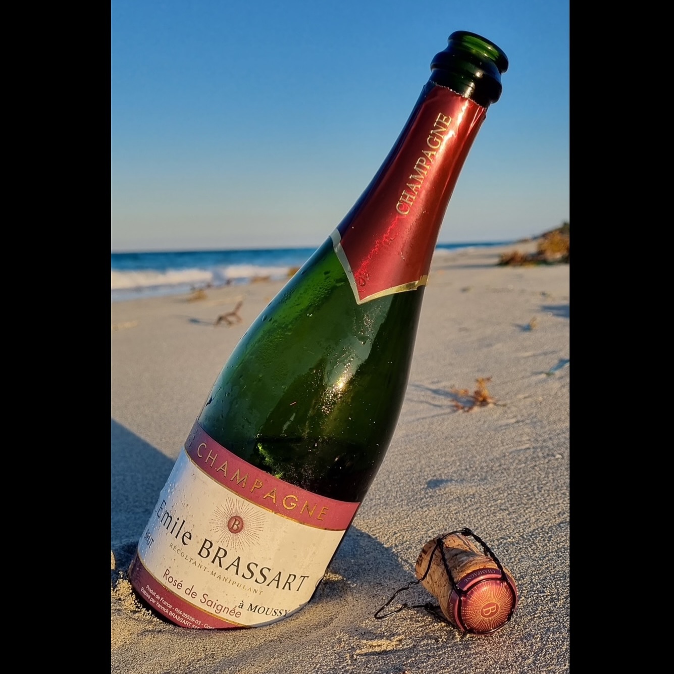 🍇Rosé de saignée🍇
Comme expliquer précédemment lors de l’explication des noms présents sur nos cuvées, il est temps pour nous de vous présenter une à une nos cuvées dans l’ordre chronologique des générations de vignerons, nous commençons donc avec le Rosé de saignée, qui porte le nom d’Émile Brassart le premier récoltant manipulant de la famille Brassart. Le rosé de Saignée est une méthode assez particulière est très peu présente en Champagne. Pour rappel en champagne seulement 2 vinifications sont possibles pour faire du rosé, la première dite « d’assemblage » consiste à mélanger du vin blanc et du vin rouge avant de la champagniser pour le faire pétiller ; la deuxième dite « de saignée » consiste à ne cueillir que des raisins noirs (Pinot Noir ou Pinot Meunier) et de les faires macérer ensemble dans une cuve pendant 24 à 48 heures avant de les pressurer. Cette méthode prend donc plus de temps et n’assure pas l’obtention d’une couleur identique chaque année, c’est pourquoi elle est moins rependue en Champagne, mais c’est celle-ci que vous retrouverez au Champagne Brassart sous le nom de la cuvée Émile Brassart. Vous y retrouverez tout autant les arômes que la couleur des fruits rouges. Pour déguster cette cuvée si particulière rendez-vous à Moussy sur l’exploitation du Champagne Brassart, n’hésitez pas à prendre rendez-vous, cela vous assure la présence de quelqu’un sur le domaine ; ou sur notre site internet champagnebrassart.com. À votre avis, quelle sera la prochaine cuvée présentée le mois prochain ? Abonnez-vous pour ne louper aucune publication !
#champagne #chamapagnebrassart #rosédesaignée #generationvignerons