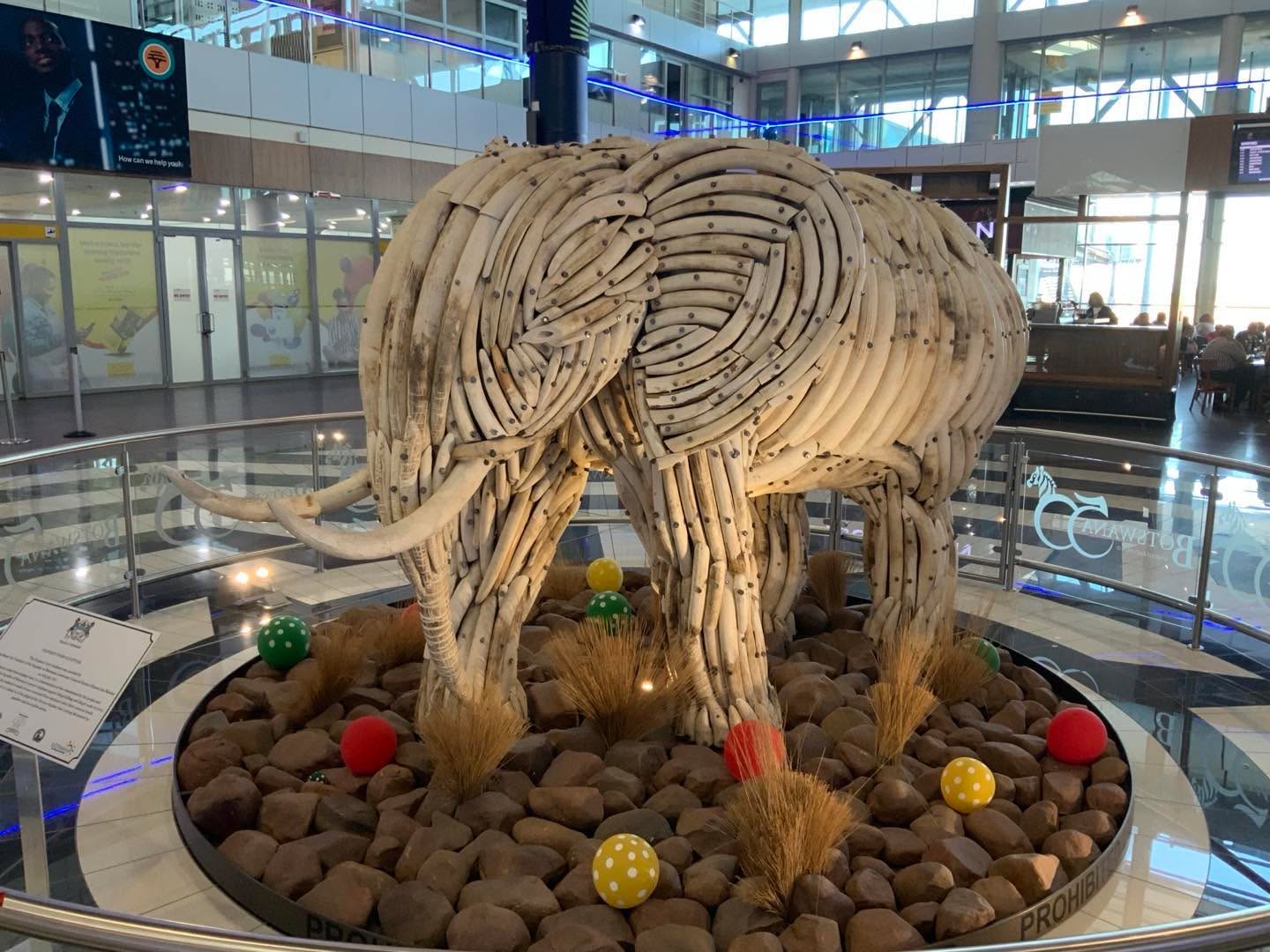 Après avoir pris 11 avions, (je ne compte pas les heures de vols et les attentes dans les aéroports). C’est fini le Road Trip qui m’a amené en Afrique du Sud est terminé. Partant de Lyon en passant par Dubai. Arrivée en Afrique du Sud, Johannesburg, Cape Town, où l’on peut voir la ville à 360 degrés à Table Montain, ville magique où la qualité de vie est incroyable, l’île de Robben Island, où le grand Nelson Mandela est resté 27 ans en prison pendant l’apartheid, et a su réconcilier Noirs et Blancs. Hout Bay, la cote Sud Africaine, magique et belle, Stellenbosch sur la route des vins, le Jardin botanique national à Kirstenbosch, Le cap de Bonne-Espérance à l’extrémité et la pointe de l’Afrique où l’océan Atlantique et l’océan Indien se jettent l’un sur l’autre avec des vues extraordinaires. Puis le Zimbabwe, la ville de Livingstone, et les chutes Victoria où le spectacle est infini. Et enfin le Botswana, les villes de Gaborone, Kasané, Chobé, Maun, Okavengo, Moremi, patrimoine mondial de l'Unesco, où j’ai pu voir cette faunes dans la savane, Lions, Girafes, Éléphants, Gnous, Buffles, Hippopotames, Springbox,Inpala,Kudu, Oryx, Gensbok, etc… J’ai aussi rencontré un ange une femme formidable qui s’appelle Lettie. Retour à Gaborone pour le vol sur Lyon.J’ai rencontré des populations incroyables, des personnes d’une gentillesses qui se saluent dans les rues, j’avais oublié qu’ils en existaient encore. Des vues magnifiques et des animaux sauvages qui ont des codes pour se nourrir et vous rendent humble. Je remercie mon frère Sid qui m’a guidé et tenue la main dans cette quête où la nature nous rappelle à l’ordre….
Une aventure que je souhaite à tous le monde, pour réfléchir sur ce que nous sommes et surtout pour l’ouverture d’esprit…..
Prenez soins de vous.
Www.lhommederio.fr #riodejaneiro #joiedevivre #amitié #favela #elenao
#lyon #progres #beauté #population #christ #redemption #jeanpaulbelmondo
#beaute #samba #carioca #beaute #carnaval #christ #redemption #corcovado
#enfant #favelas #elephant🐘 #dieux #deus #amour #love #belmondo
#gang @faveladopaulinho #livre #enfance #belmondo #lhommederio.fr