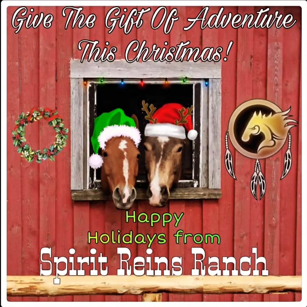 Happy Holidays and all the best wishes for Peace, Love, and Joy in 2024!๐ ๐๐ from all of us at Spirit Reins Ranch. #horses #christmas #Peace #Love #Kindness #trailrides #happynewyear #2024 #ranch #spiritreinsranch