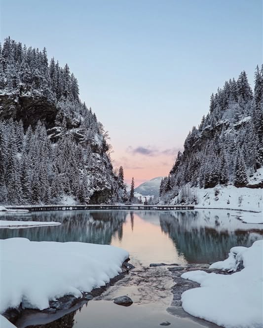 Il y a un peu plus d'un mois je faisais la connaissance de Karim qui m'a contacté directement du Liban.
Fou d'amour pour la sublime Chayanne, il souhaitait organiser sa demande en mariage lors de leur séjour sur Courchevel.
C'est dans l'écrin du lac de la Rosière que la surprise à eu lieu.
Accompagnée par @emiliecabotphotography et
@gillestvideaste qui ont capturé ces moment intenses ...
150 roses pour symbole @peggy_n_afleurdepot
@karimdaaboul
@chayannech
#amour #lacdelarosiere #courchevel1850❄️ #courchevel #proposal #weddingproposal #fiancailles #fiançailles #roses #rednaomi #bouquet #naturephotography #nature #lesalpesfrançaises #lesalpes