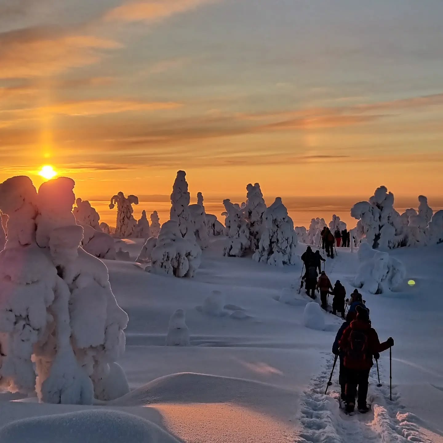 Happy this year! When the first day of the year looks like this, I expect it to continue to be just as beautiful. The weather was quite crispy, as it was -34 C in the morning. But up on the fell it was warmer and so wonderful that it was worth all the climbing and dressing up warmly to get there.
#snowday #snowshoeing #visitfinland #snow #snowshoe #msrsnowshoes #slowadventuresociety #kuusamo #rukakuusamo #winterwonderland #winterisbeautiful #wintermood #winter #newyear