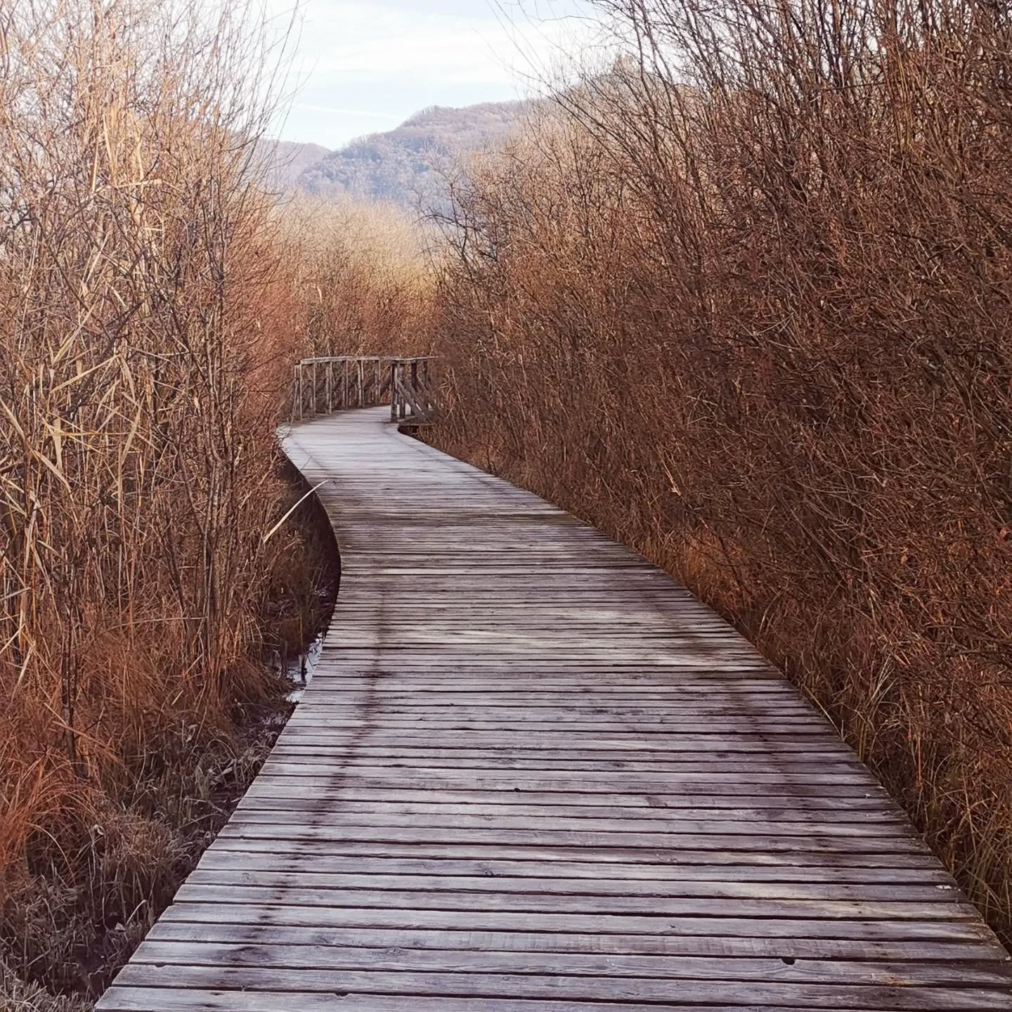 Das Jahr neigt sich dem Ende und ich nutze die Zeit zum Reflektieren.
Was ist dieses Jahr gut gelaufen, worauf kann ich mit Stolz zurückblicken?💪
Was war nicht so toll und hat nicht so gut funktioniert? Welcher Lebensbereich benötigt Veränderung?
Fühlt sich mein Weg noch gut an? Oder bedarf es einer neuer Richtung?
Nutzt auch du die Zeit zwischen den Jahren zur Reflektion? ✍️💫
#reliefandflow #relief #flow #yoga #yogaweg #yogareise #selbstreflektion