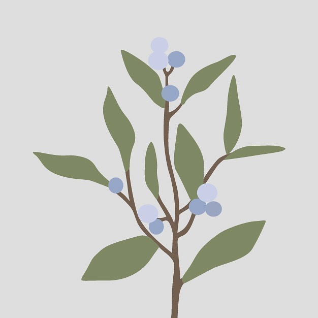 Wild and free #illustration #illustrationoftheday #iloveillustration