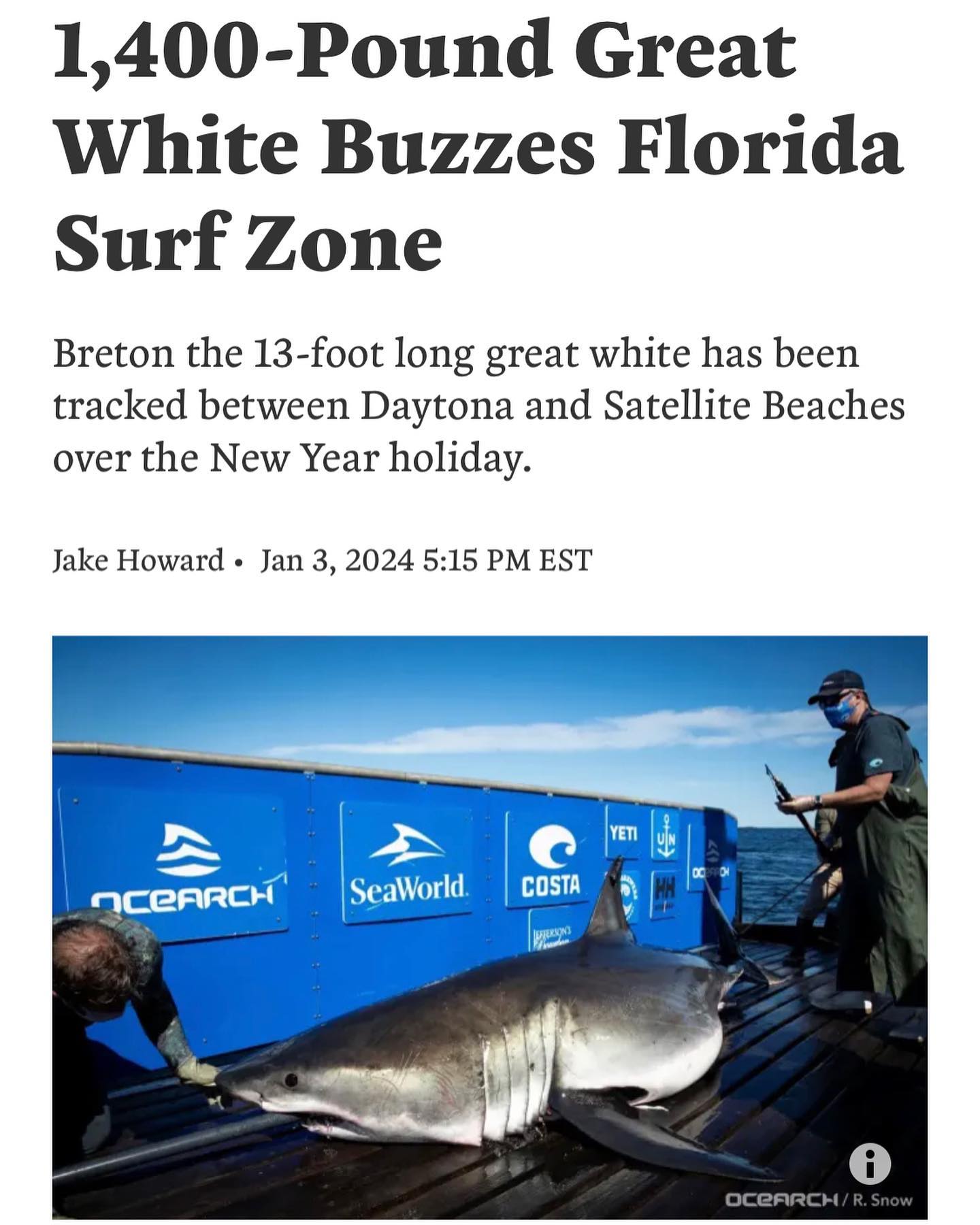 Happy New Year! The great whites have come to join the celebration!
🌊 Tracking down greatness off the shores of Daytona! 🦈 Researchers on the trail of a massive 13ft Great White – nature's incredible marvels in our backyard. #GreatWhiteDiscovery #DaytonaSharkAdventure #OceanResearch #MarineMarvels #SharkTracker #Florida #SouthFlorida #greatwhiteshark #shark #scuba #spearo