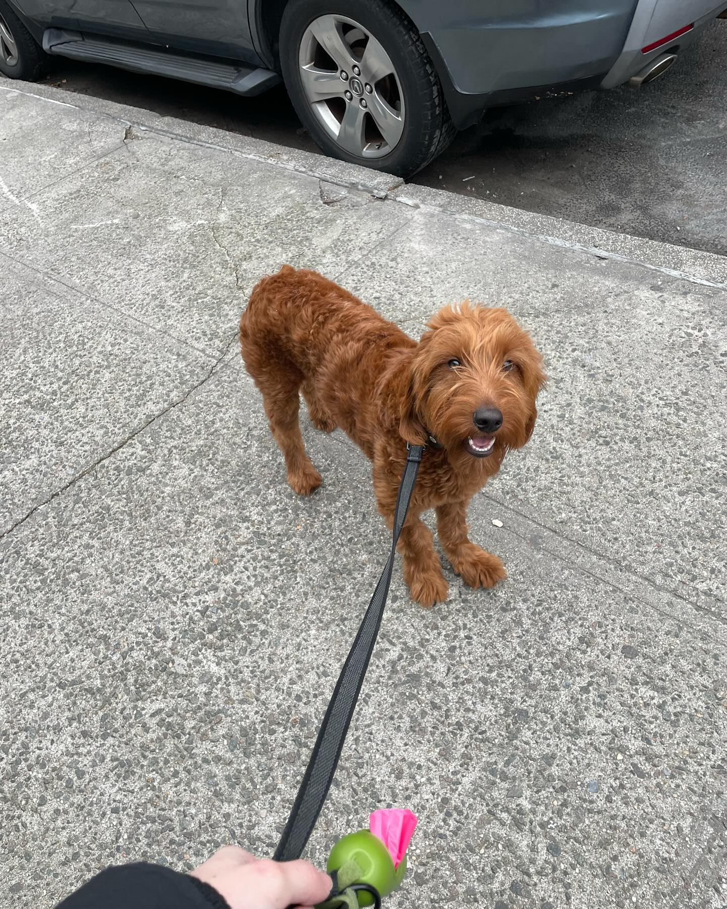 Ete taking a break on one of our walks!