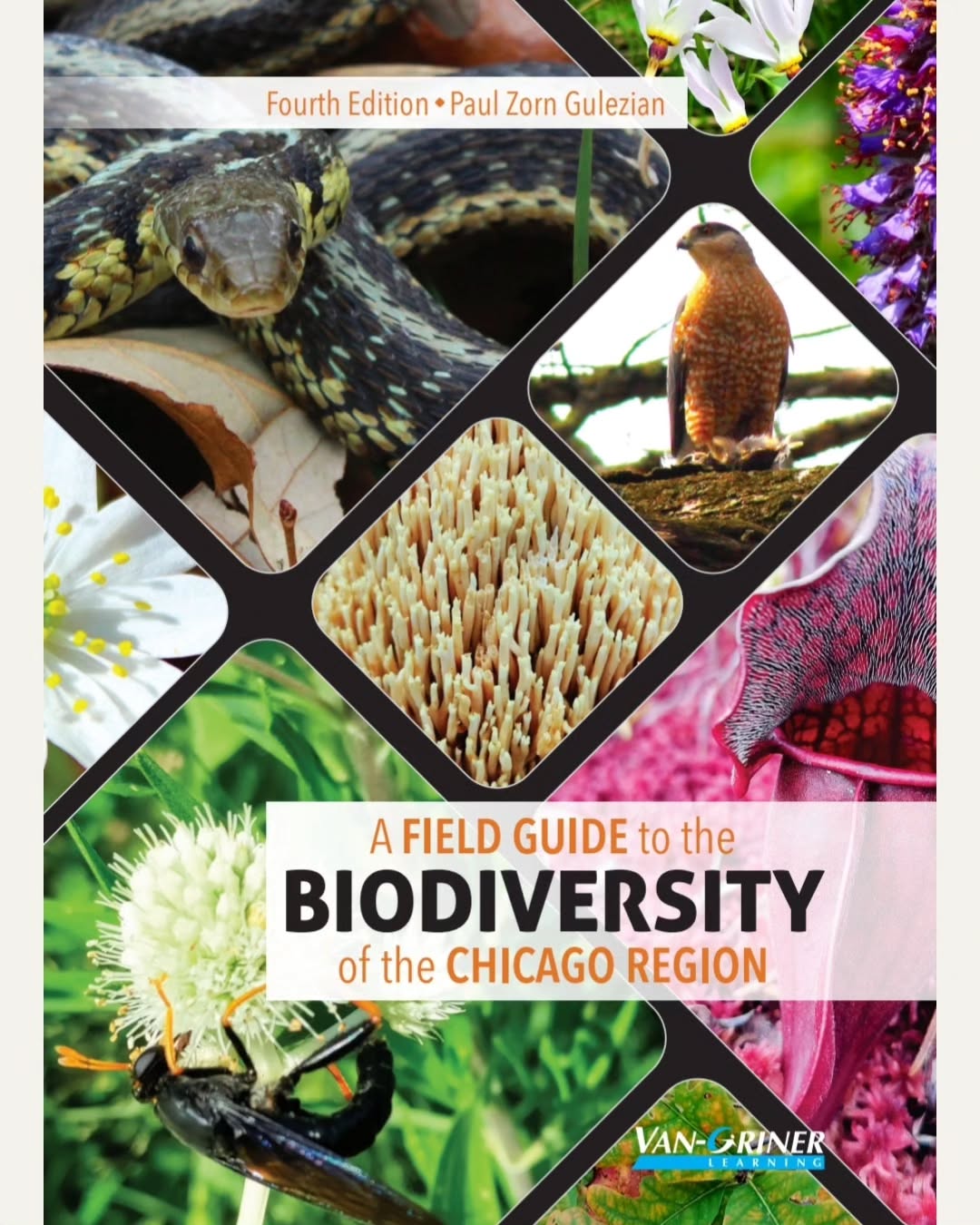 Happy to share the new covers for the updated 4th edition of A Field Guide to the Biodiversity of the Chicago Region. I dig it. How many species can you name? Peace, y'all.