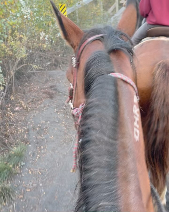 Beautiful fall evening ride!!