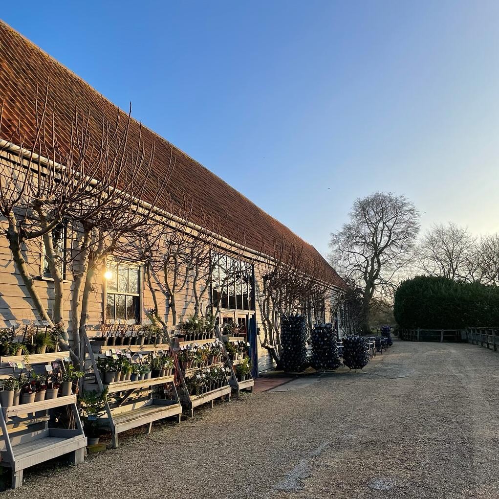 This morning, we made the most of the clear blue skies to venture out to @wykenvineyards for breakfast and a visit to the farmers’ market. The low winter sun made the eighteenth century barn and surrounding fields look even more beautiful than usual.
.
.
.
.
.
.
#wyken #wykenvineyards #historicbuilding #suffolk #suffolkskies #field #suffolkfields #thisprettyengland #winter #wykenvineyardsfarmersmarket #blueskies #visitsuffolk #myseasonalstory