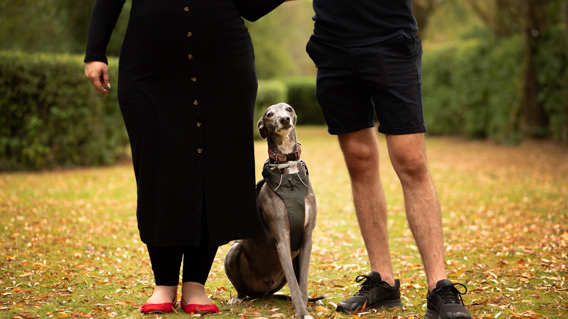 A throwback to an Autumn maternity shoot. Look at the pose from the gorgeous Oscar in the middle.
.
.
.
.
.
#sjrichardsonphotography #familyphotographer #oxfordphotographer #maternityshoot