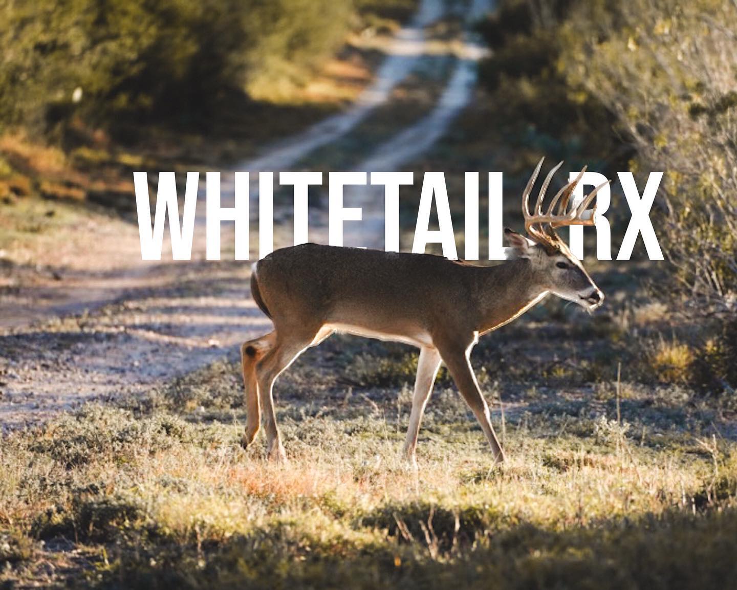 Need thumbnails for your website or YouTube videos? We can do that!
Check out our website to see more of our work. Link in Bio!