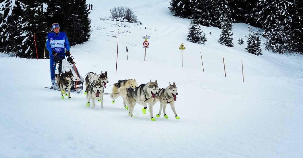 LA GRANDE ODYSSÉE - VVF ÉTAPE 1 – MEGÈVE 🐺🏔️❄️ @lagrandeodyssee @megeve_officiel