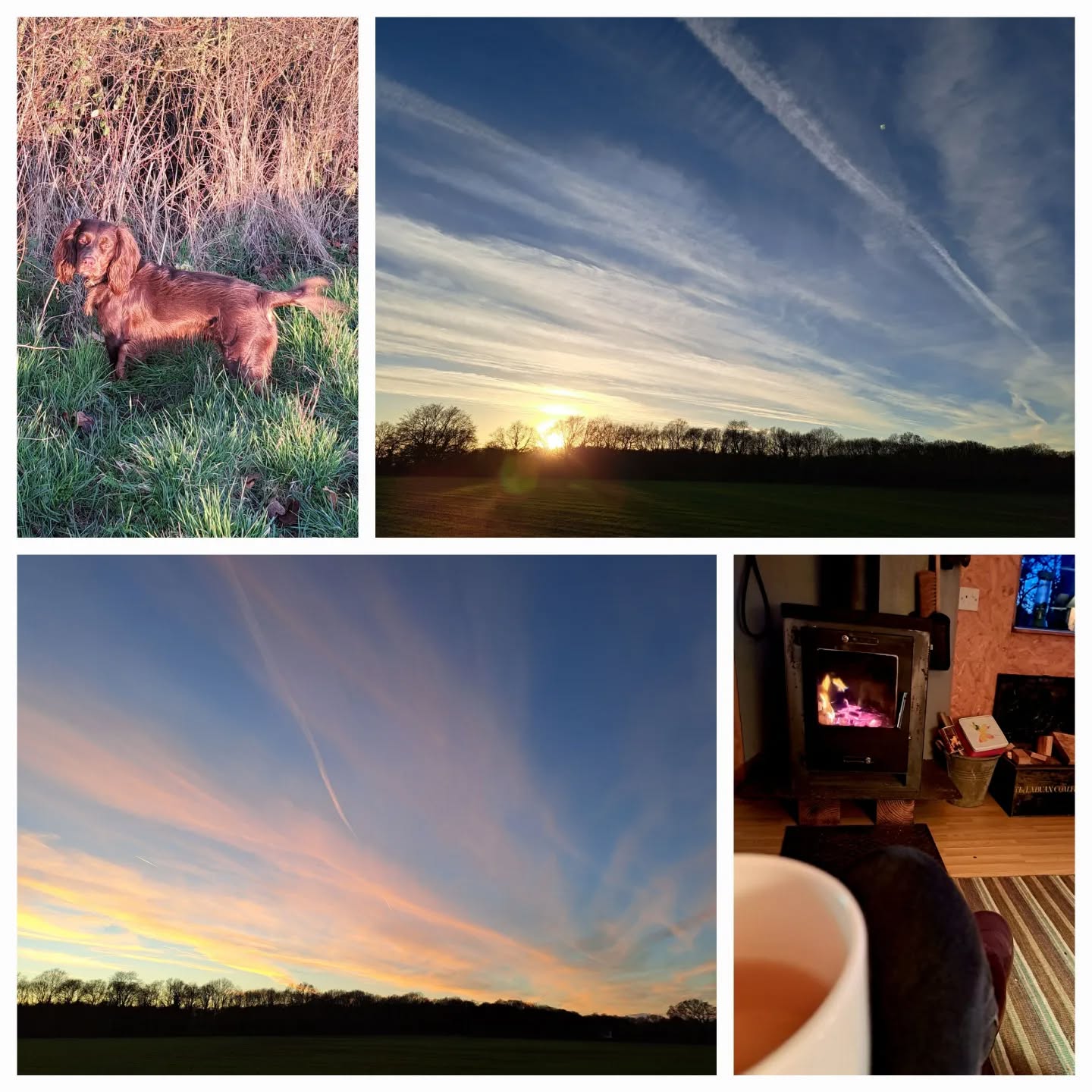 Back at my fave hideaway...a full week of field walks 🥾, woodburners 🔥, work and BB 🍑 exciting brainstorming plans..all of which starts with a cuppa ☕️.
#somerset
#airbnb
#walking
#outdoorworking