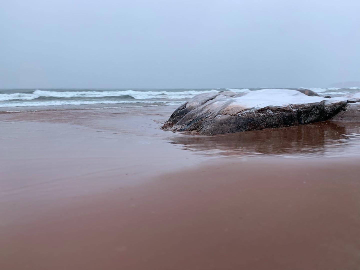 Happy New Year, Mitten-thusiasts! I was excited to start the year with a little Lake Superior sojourn, and I’m even more excited about the new work I have planned for The Mighty Mitten :-) Hope everyone’s year is off to a good start!
.
.
.
.
#puremichigan #upperpeninsula #906 #906life #upperpeninsulamichigan #michigansupperpeninsula #upnorth #upnorthmichigan #themightymitten #optoutside #outdooradventures #midwestliving #midwestlivingmag #michigrammers #optoutside #michigan #greatlakes #greatlakeslocals #lakesuperior #greatlakesloving #milakelife #marquettemichigan #travelmarquette #upnorthlife #makeyourmarq #gichigami