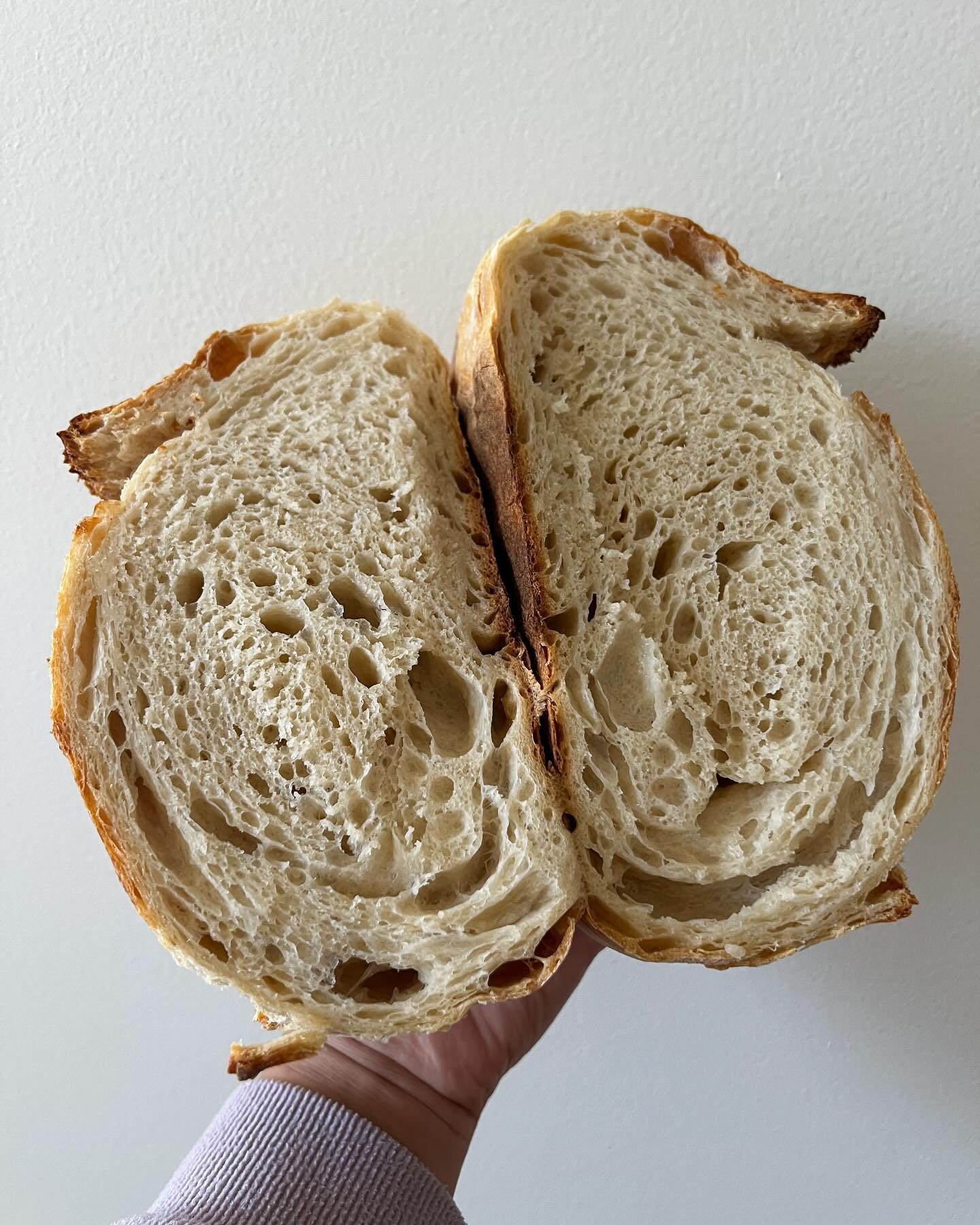 Just going to post the same bread until my oven is fixed!
#bread #sourdough #wildyeast