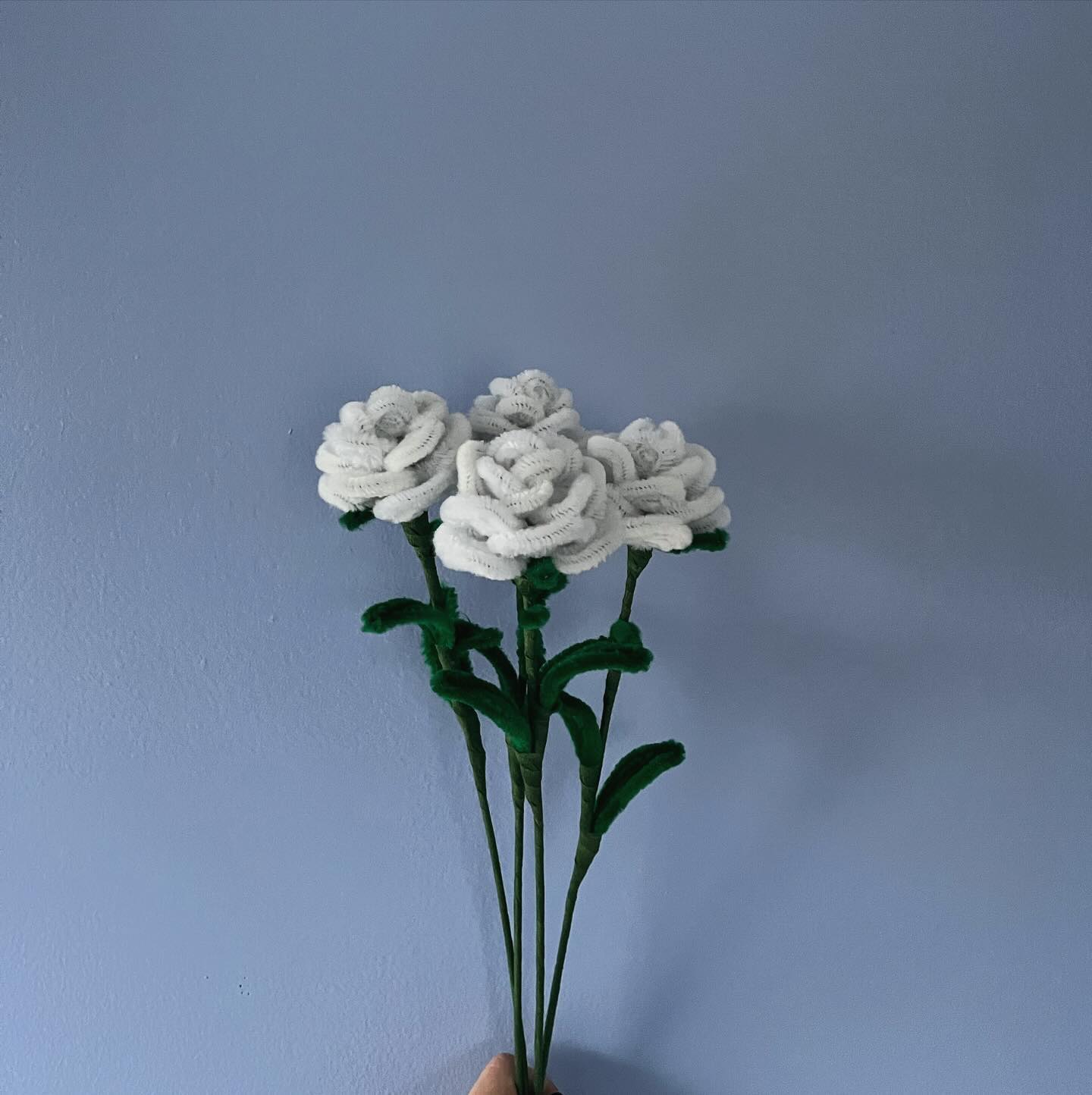 Our Valentine’s Day release is soon! 💗💗💗#valentinesdaygift #foreverflowers