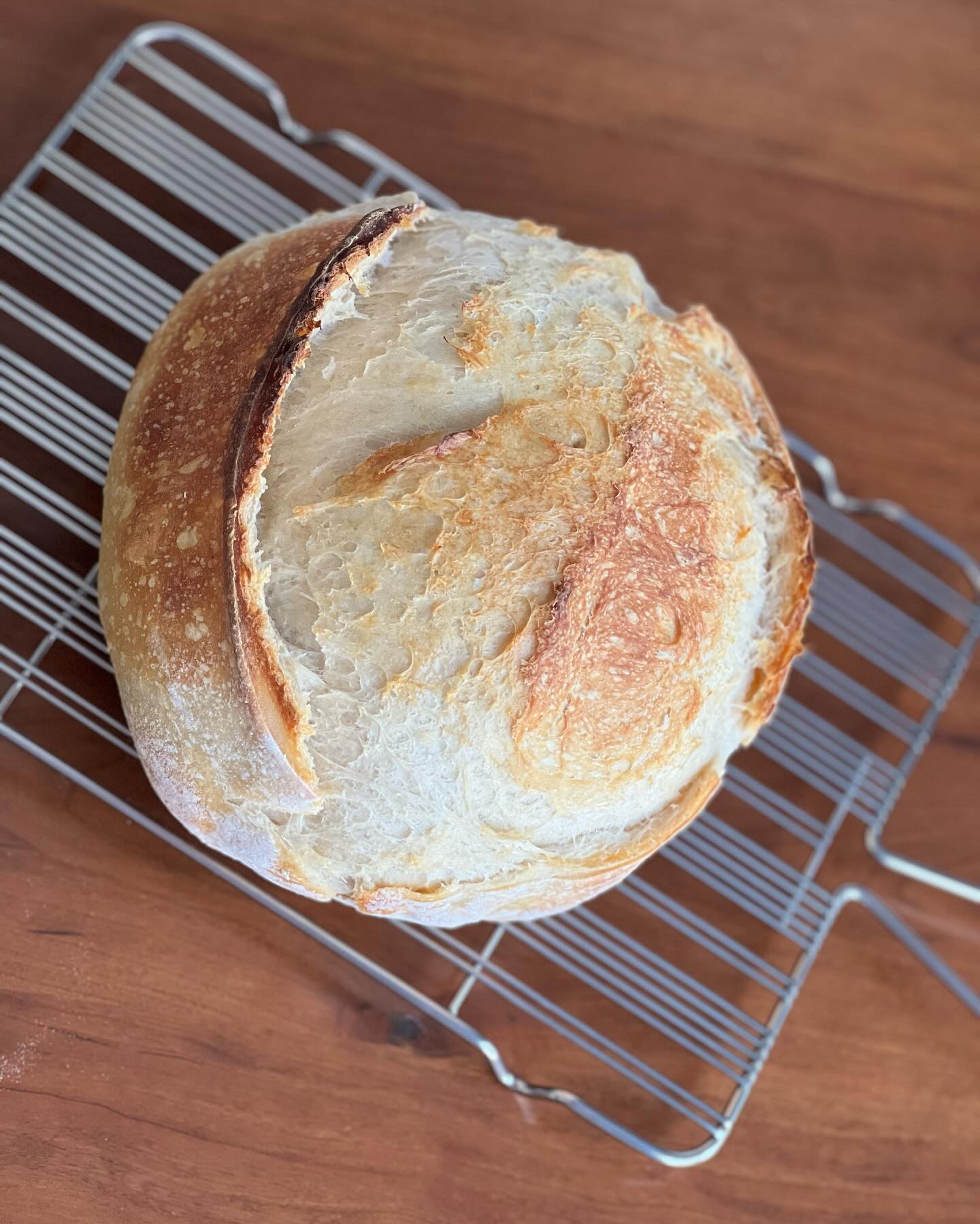 First bake of 2024! I havenāt baked sourdough in months so it felt like a good day to bake. Woke up and found out that my oven broke and would not heat so that was fun. My bff next door came to the rescue and made me tea and let me use her oven. Will share crumb once the bread cools down enough to cut into it!
#sourdough #bread #sourdoughbread #firstbakeoftheyear #freshbread #carbs #wildyeastfermentation #wildyeast #fermentation #homemade #homemadebread