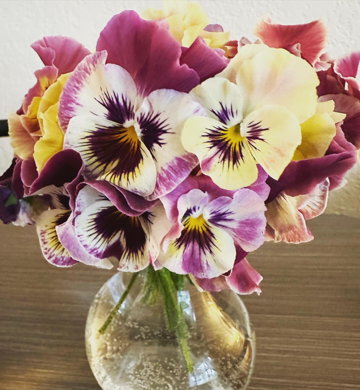 I’m such a sucker for these cuties, and guess what popped up on my seed-starting rack today? You betcha…the first pansy sprout of 2024. I’d be lying if I didn’t admit to a squeal or two. I can almost smell them now - and the promise of new life is the thing that gets us flower people through these frigid winter days. Subscriptions will open up soon - and there may be a bonus treat for everyone who signs up! Keep your eyes peeled and a spot on your kitchen table clear! #wellgrownfarms #wellgrownflowers #localflowers #flowersubscription