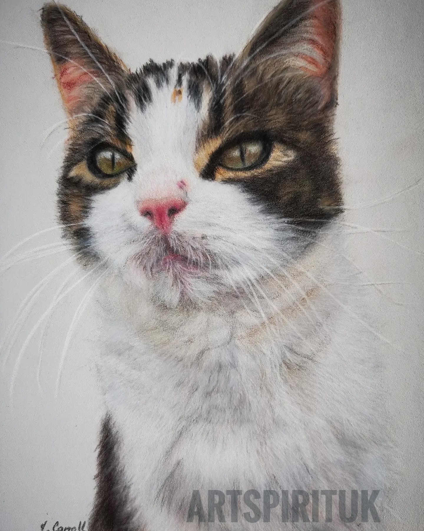 I haven't posted in a while for many reasons but have now returned . I have recently finished this portrait. My friend 's beautiful cat. permission given to use.
Pastelmat board and colour pencils used.
#catsofinstagram #colourpencilart #cats #catlovers #galleries
