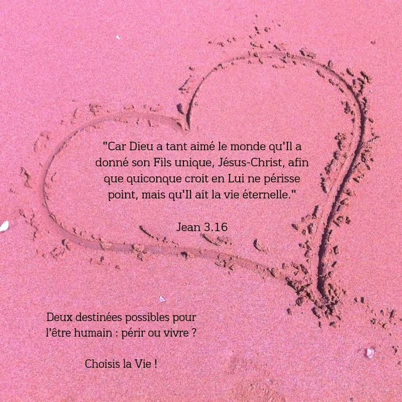 VERSET DU JOUR !!!
MARANATHA 🙏❤️
#priere #louange #verset #versetdujour #versetbiblique #bible #foi #chretien #dieu #dieuestgrand #dieuestamour #dieuestpuissant #jesus #christ #vie #eternelle #choisislavie #aimonsnouslesunslesautres #maranatha #amen