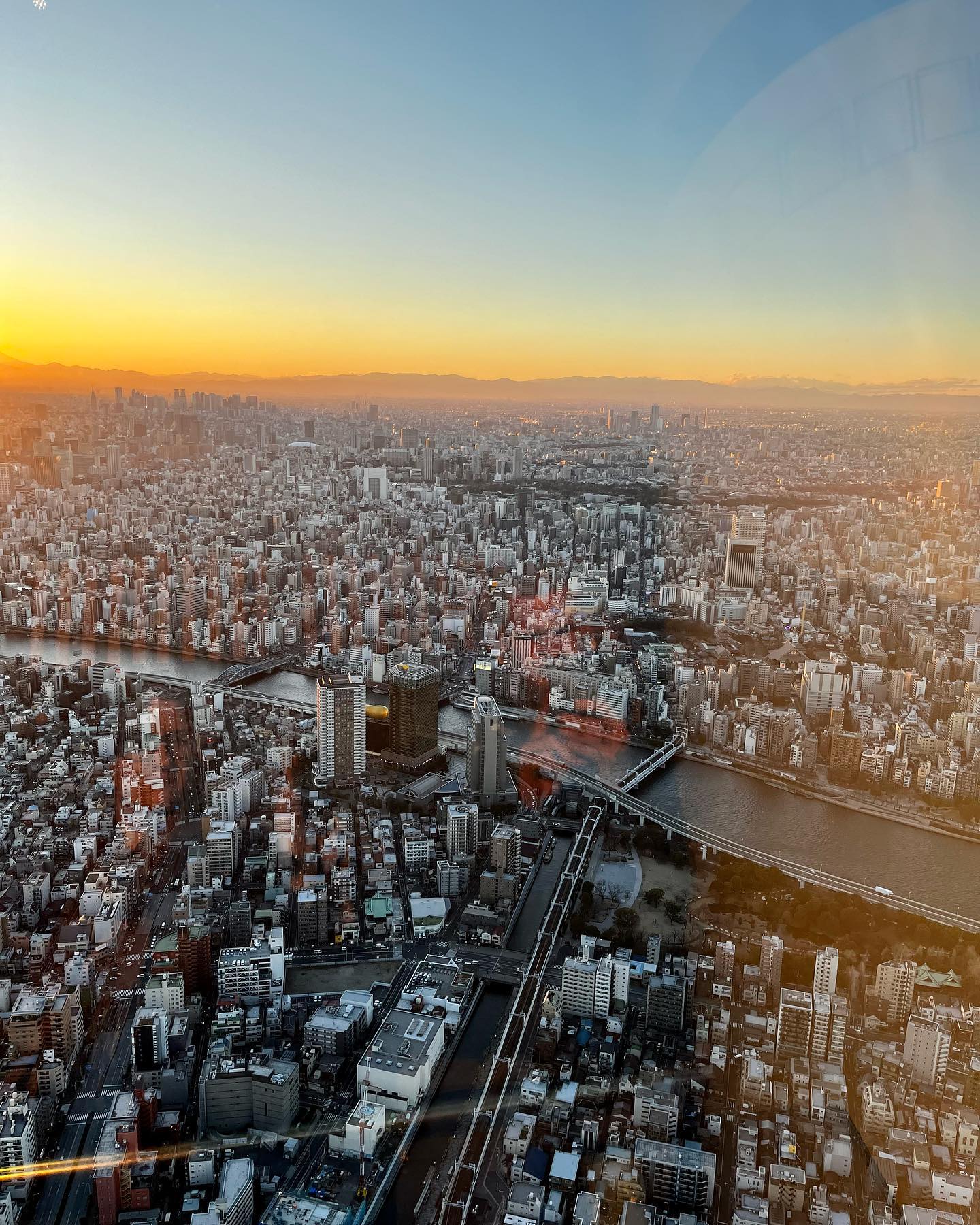 Tokyo Blues are hitting hard today
